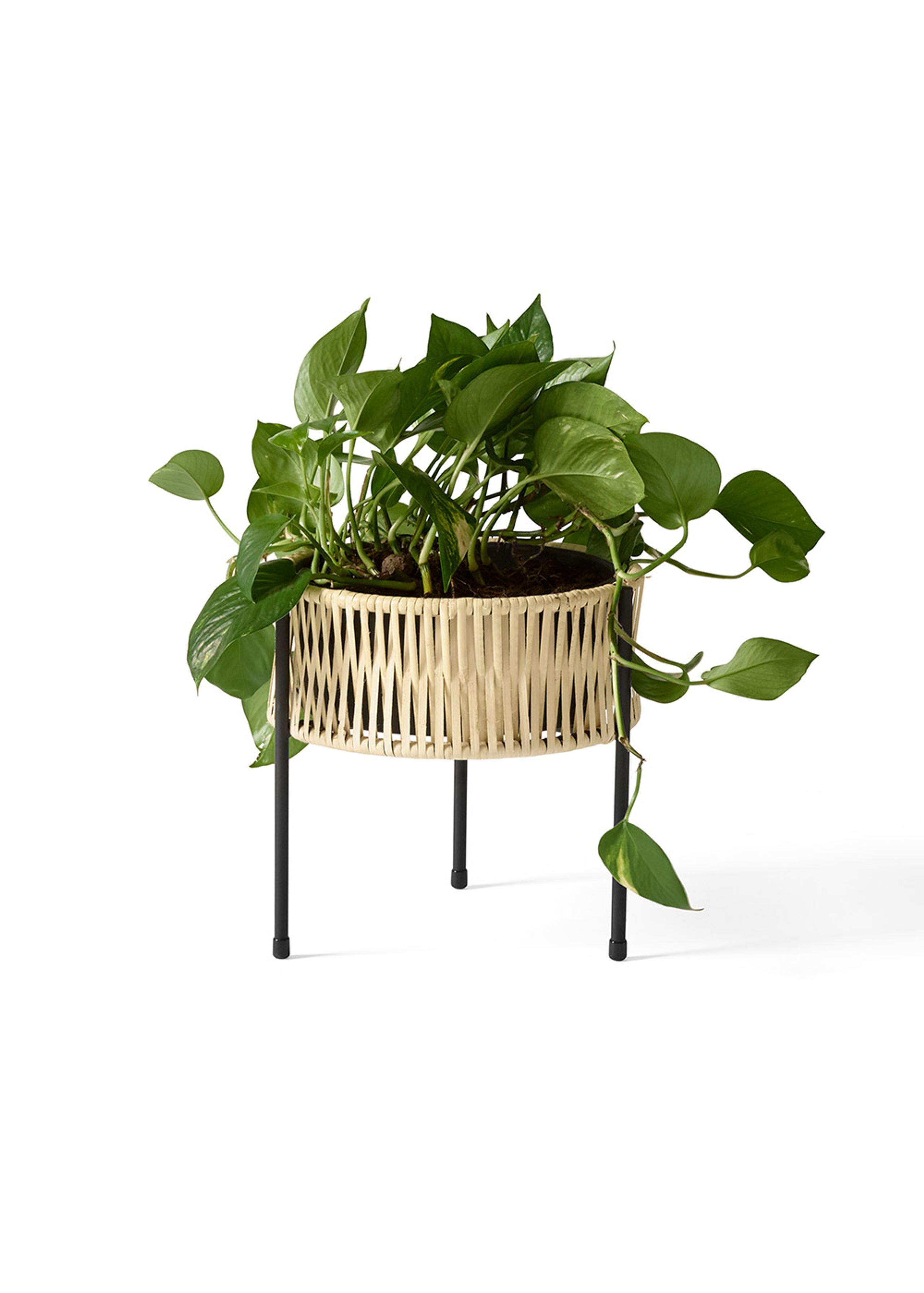 MENU - Plant Box - Umanoff Planter - Black Rattan - small