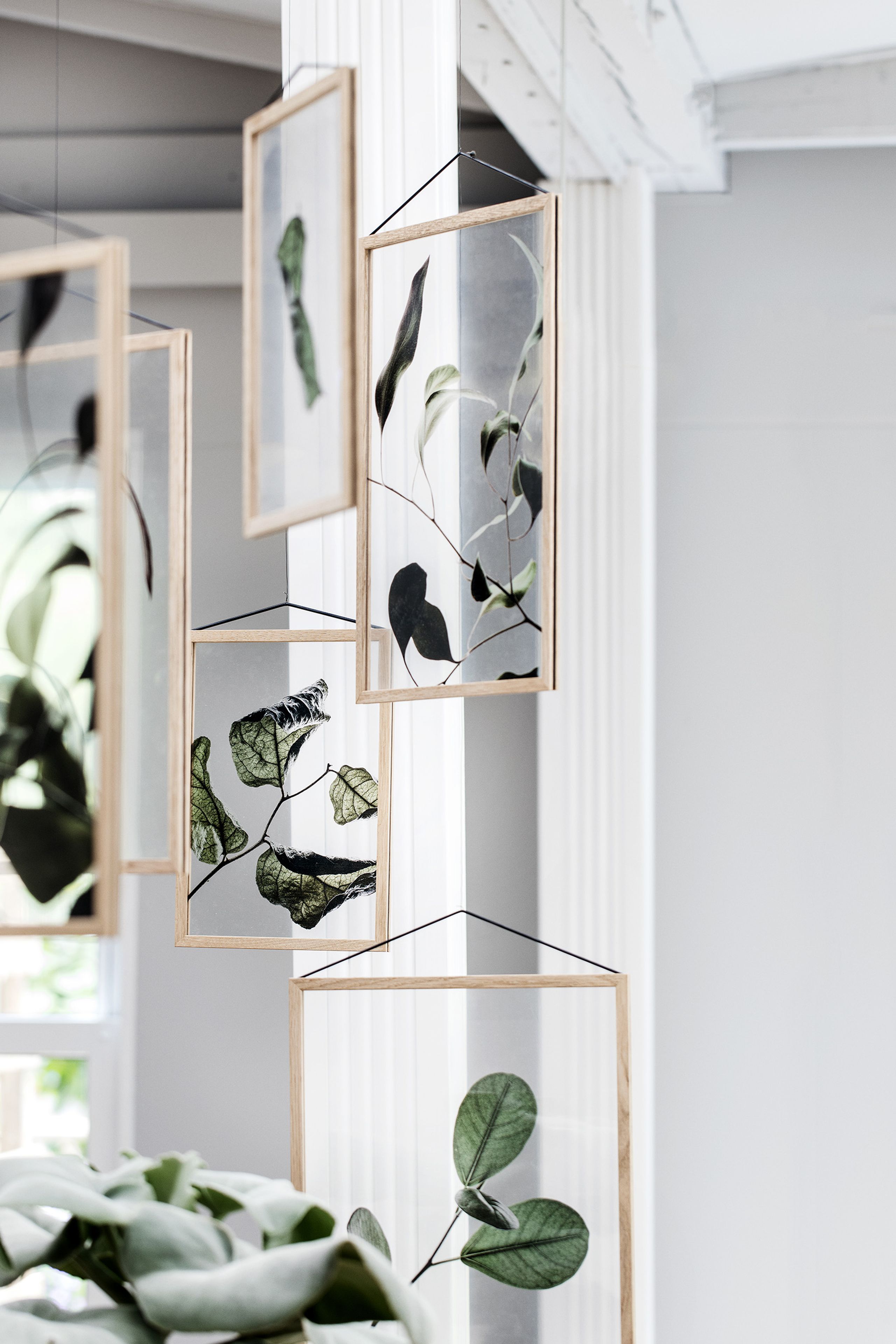 MOEBE - Poster - Floating Leaves - A5 - 03