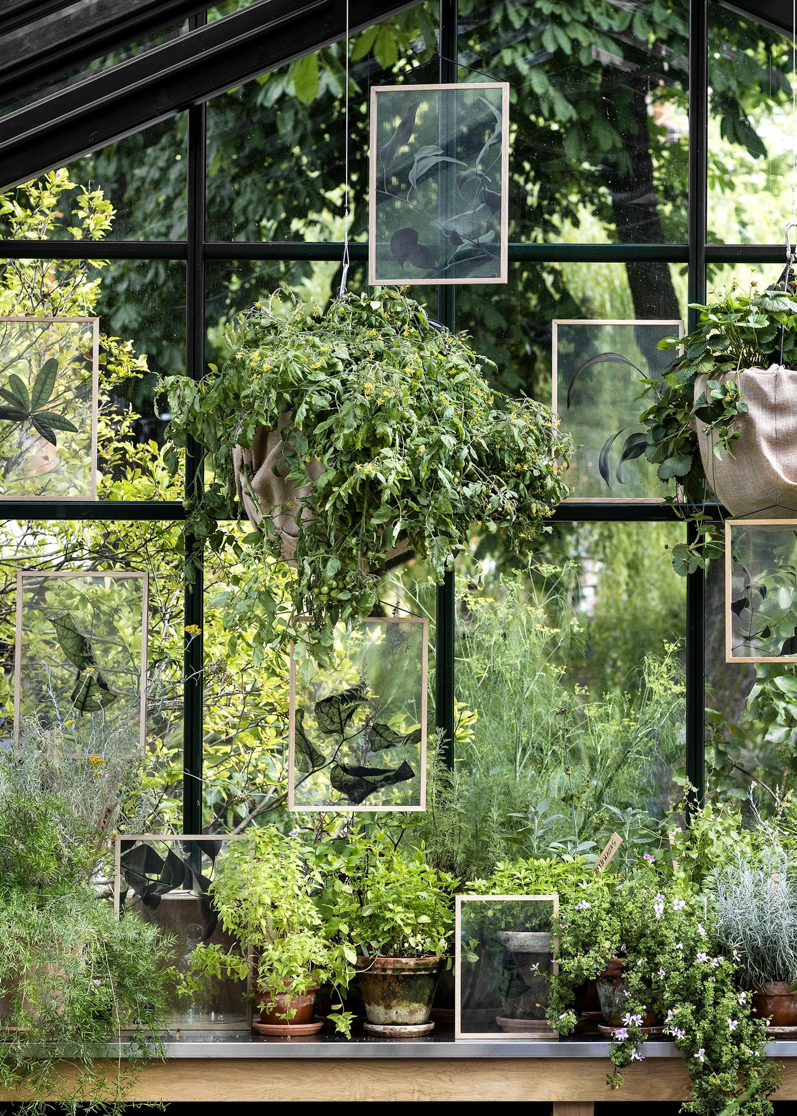 MOEBE - Poster - Floating Leaves - A5 - 03