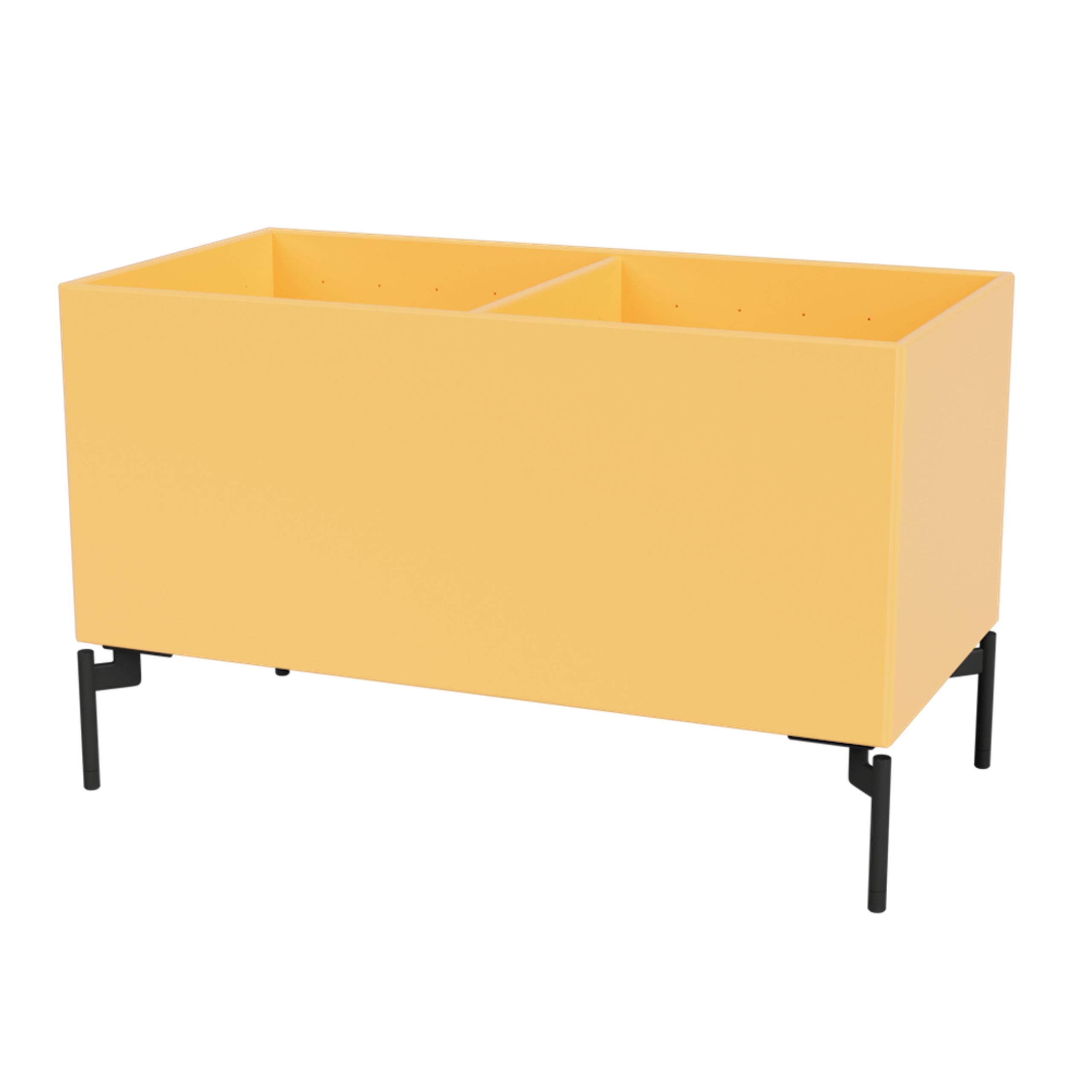 Montana - Boîtes de rangement - Colour Box III – S4162 - With Black Legs - Acacia