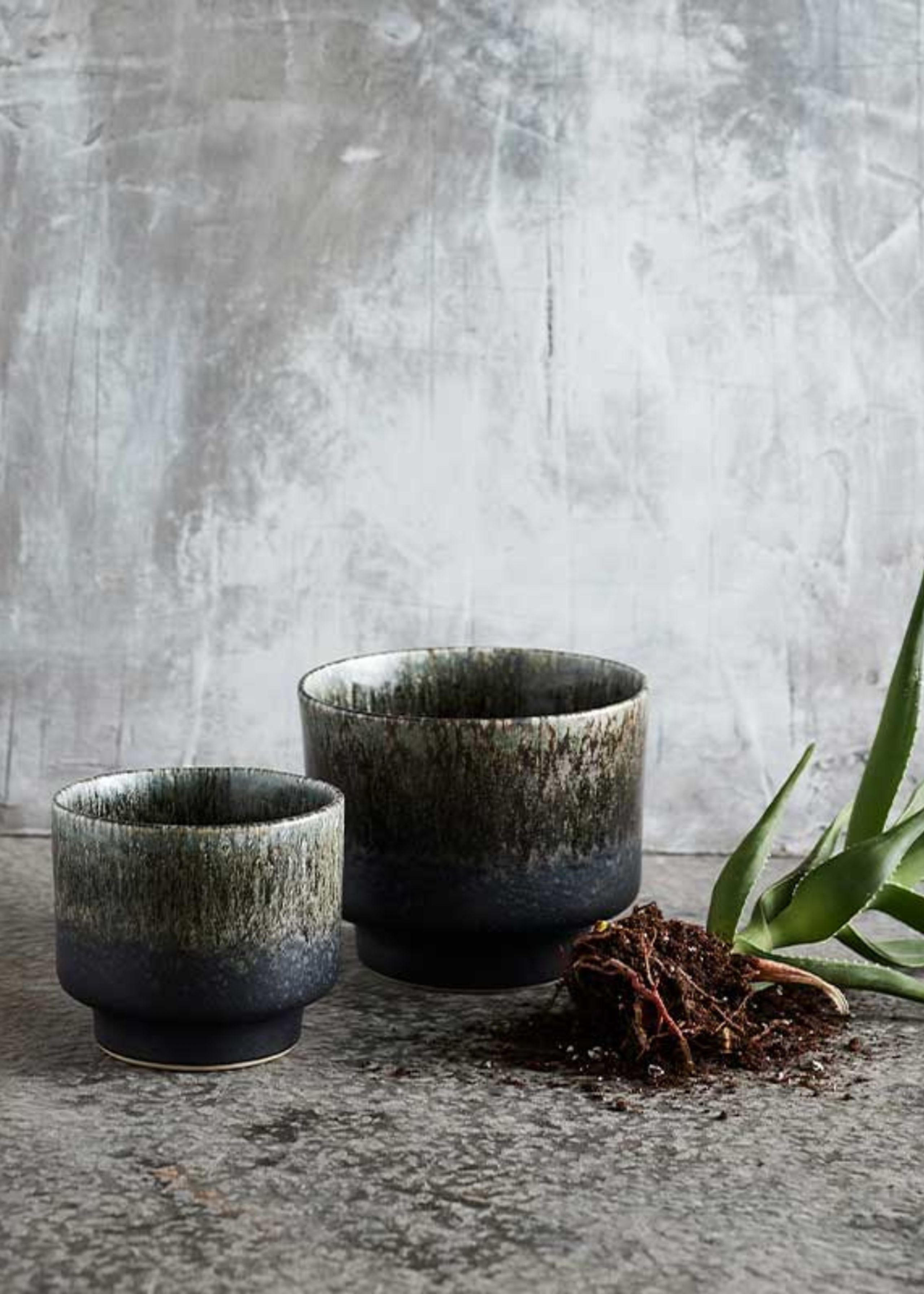 MUUBS - Tarro - Jar Lago - Forest Green - Small