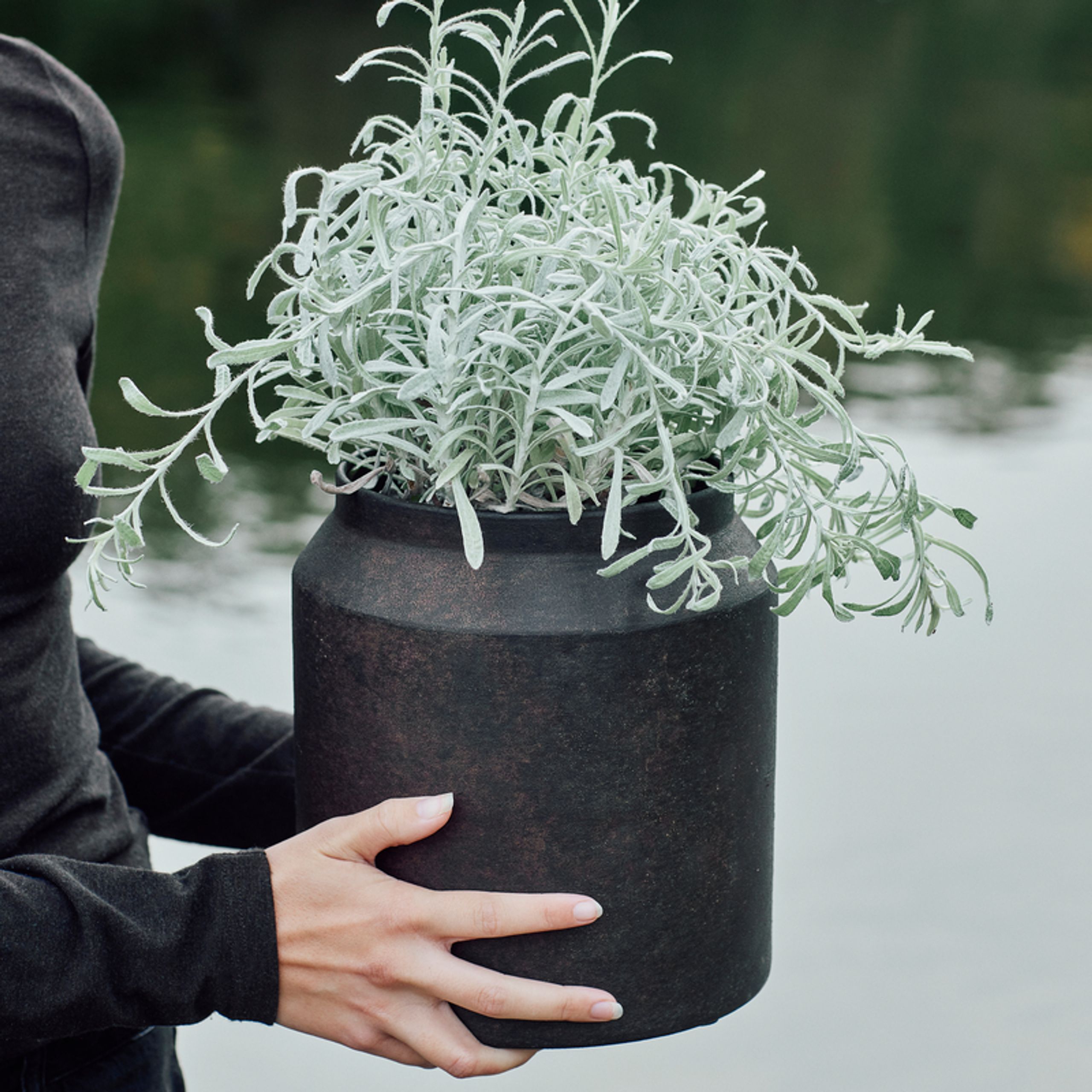 MUUBS - Jar - Sai Pot - Rust 23'