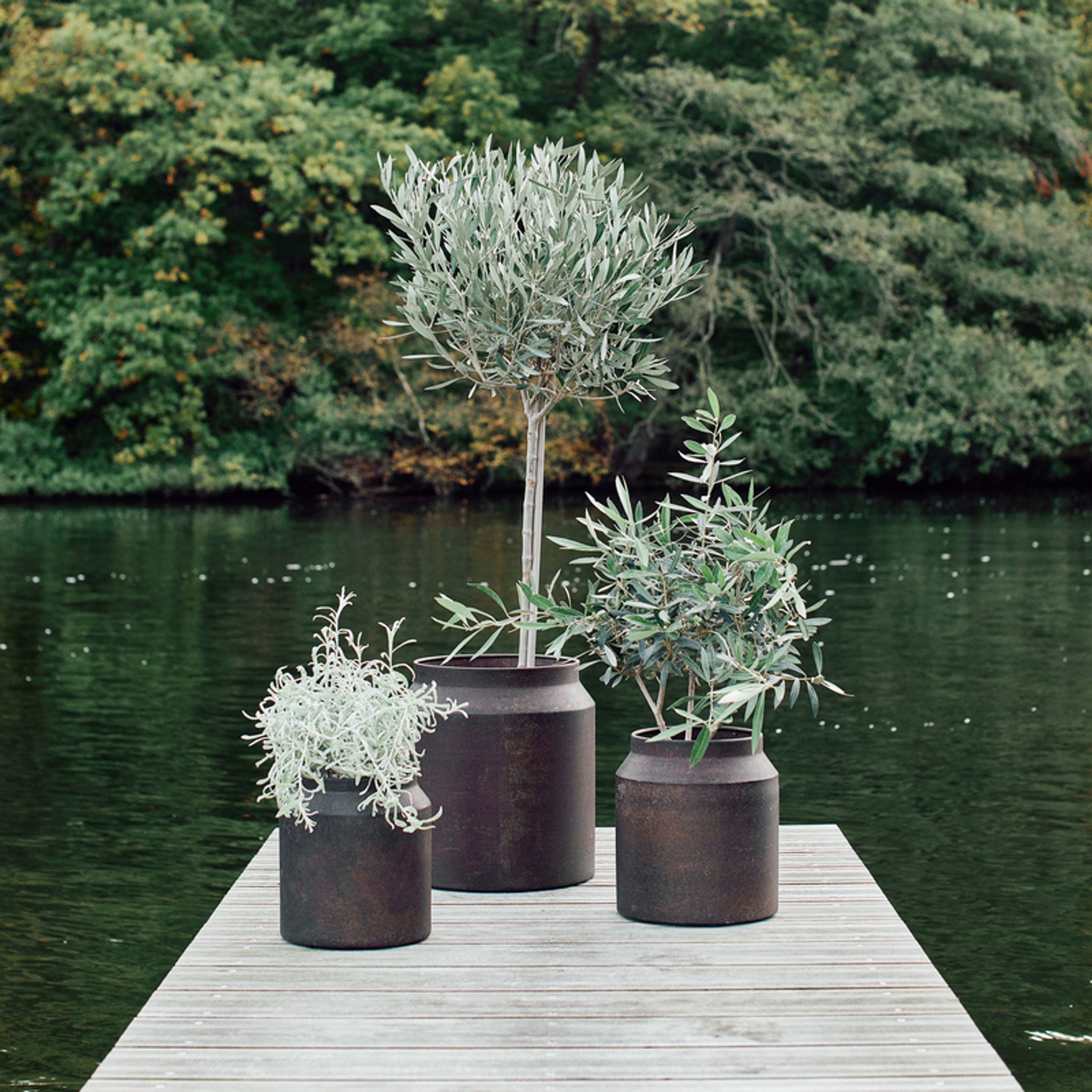 MUUBS - Jar - Sai Pot - Rust 23'