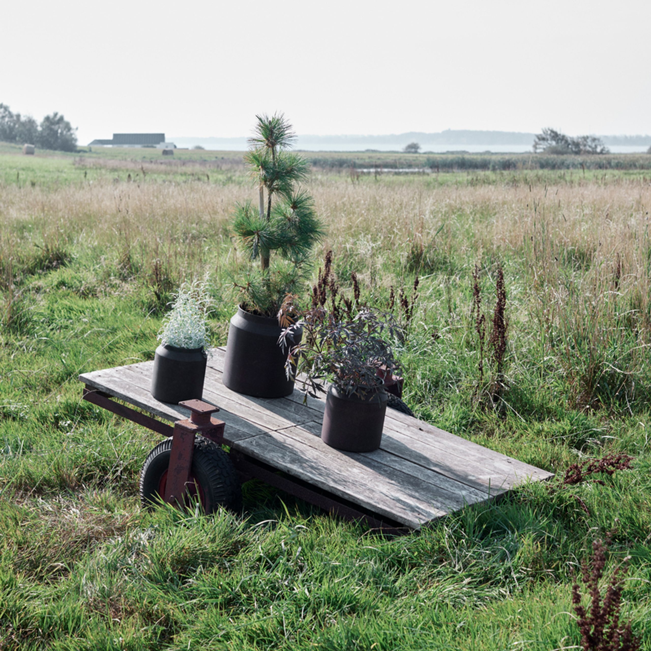 MUUBS - Jar - Sai Pot - Rust 26'