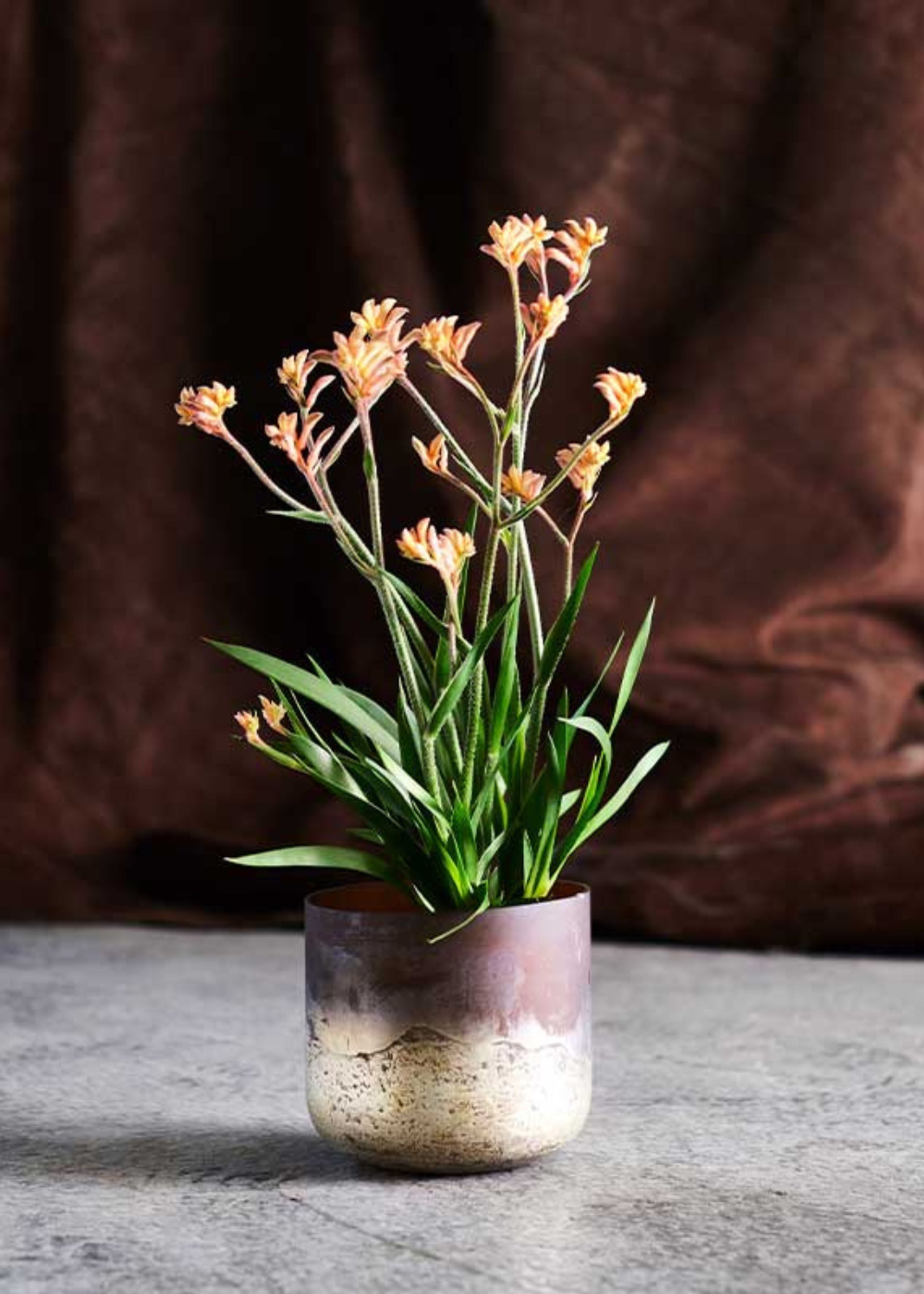 MUUBS - Lantern - Vase Lana - Vase Lana 14 - Brown/Gold