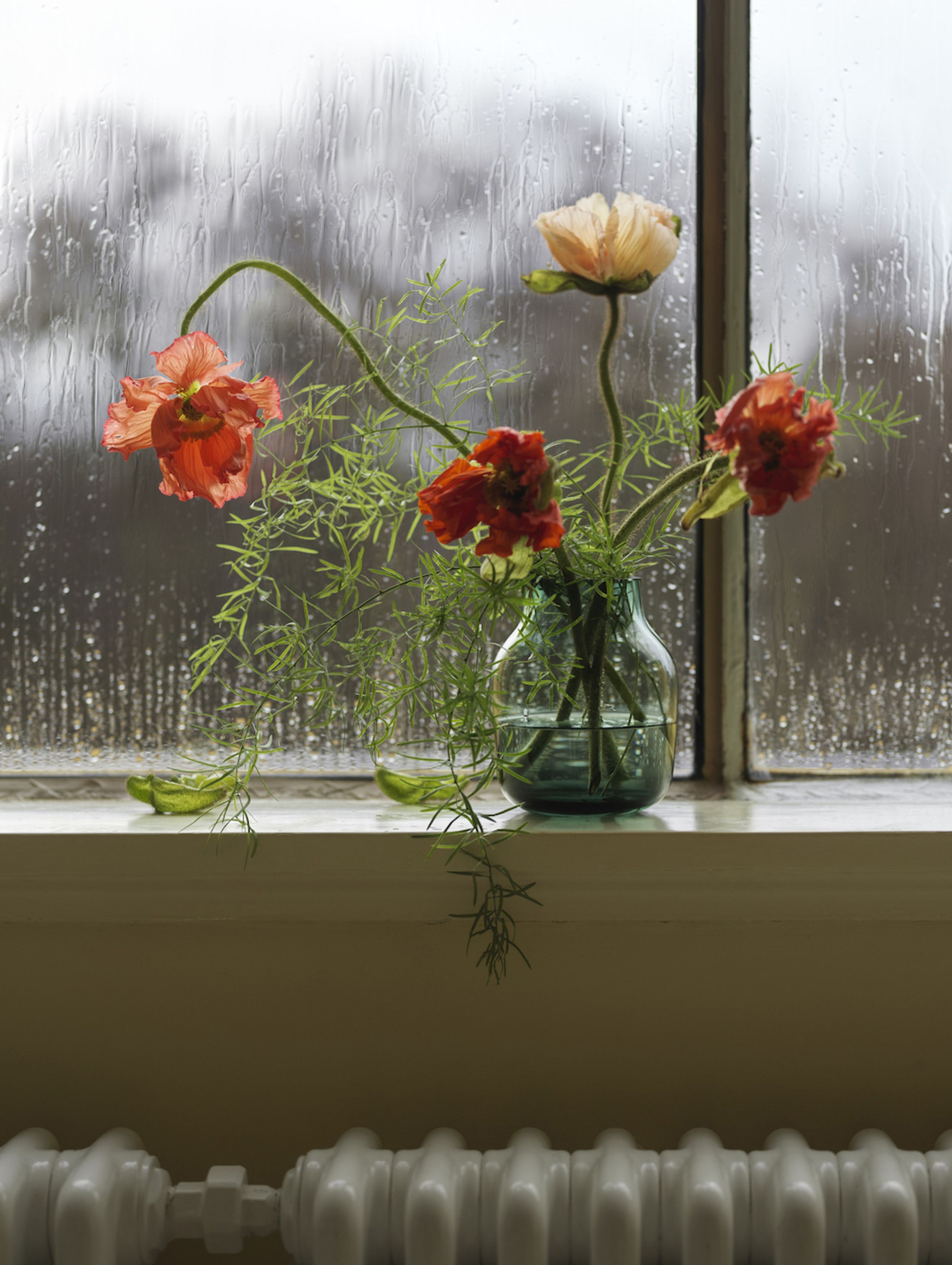 Muuto - Vas - Silent Vase - Burnt Orange - Medium