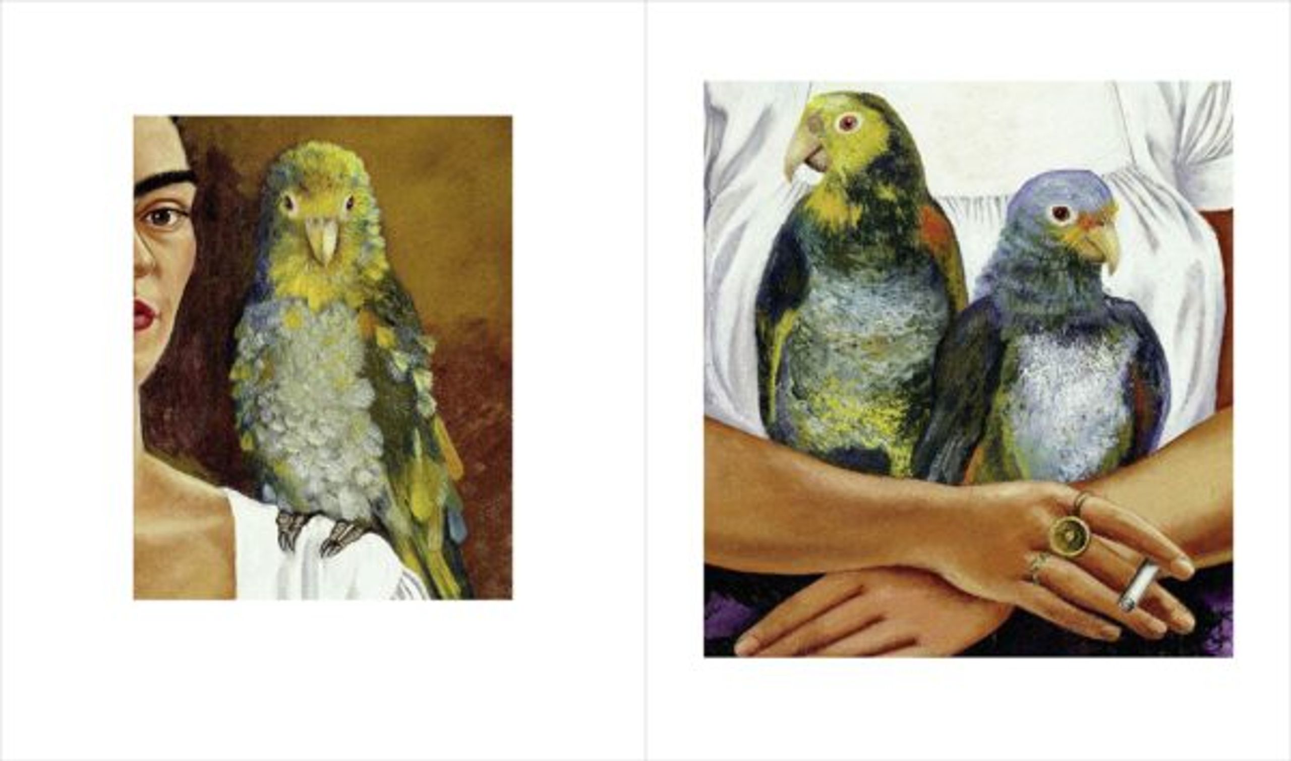 New Mags - Books - Frida Kahlo – The Painter and her Work - Green, Beige