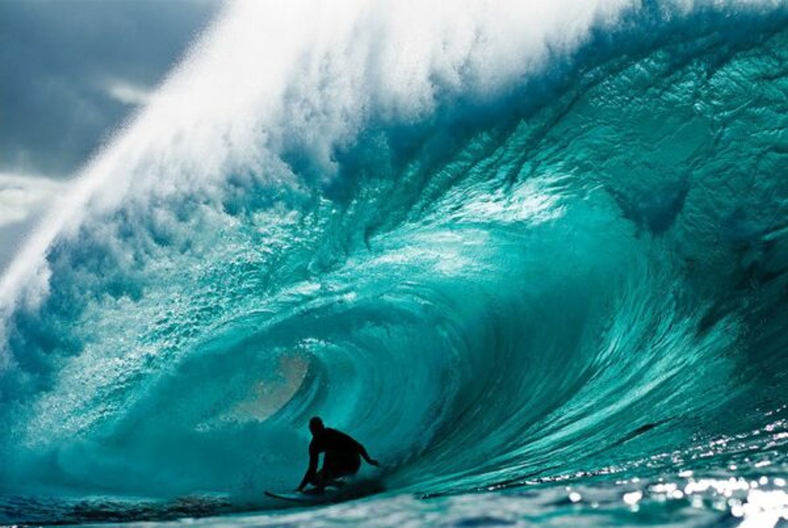 New Mags - Libros - Surfer Magazine 1960 – 2020 - Black/Blue