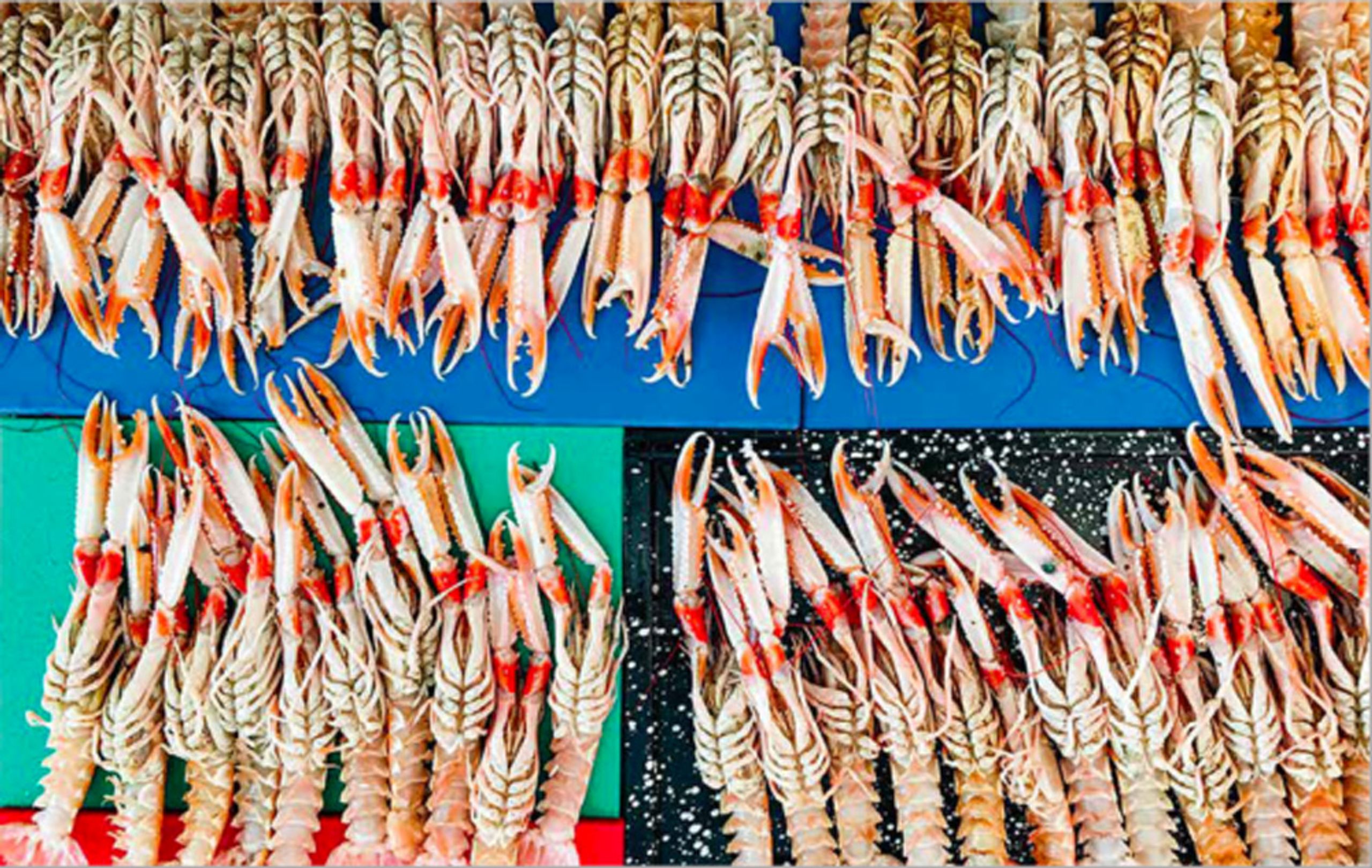 New Mags - Book - Osteria 16 - Emil Alsbo & Morten Kaltoft