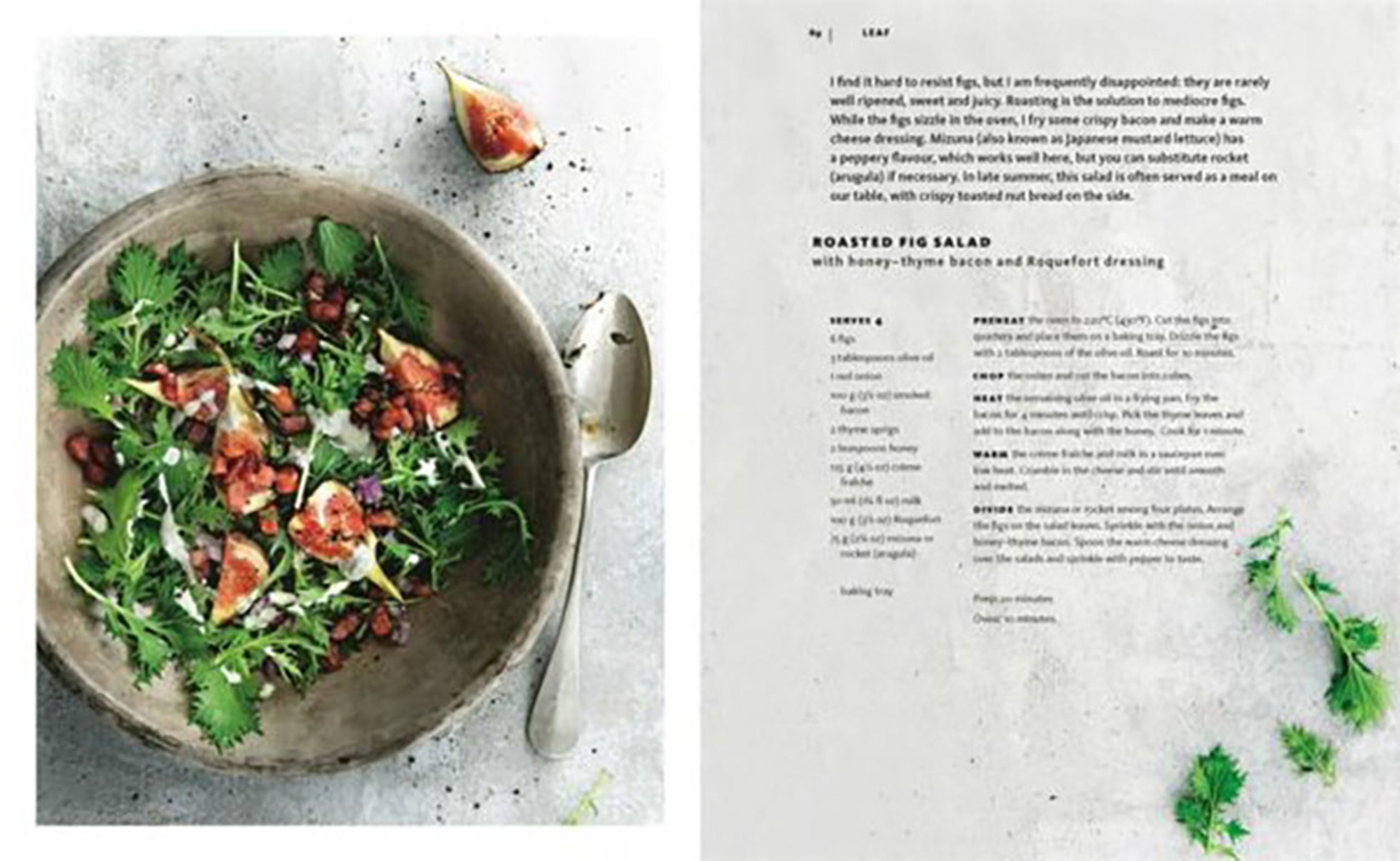 New Mags - Kniha - Salad - Janneke Philippi