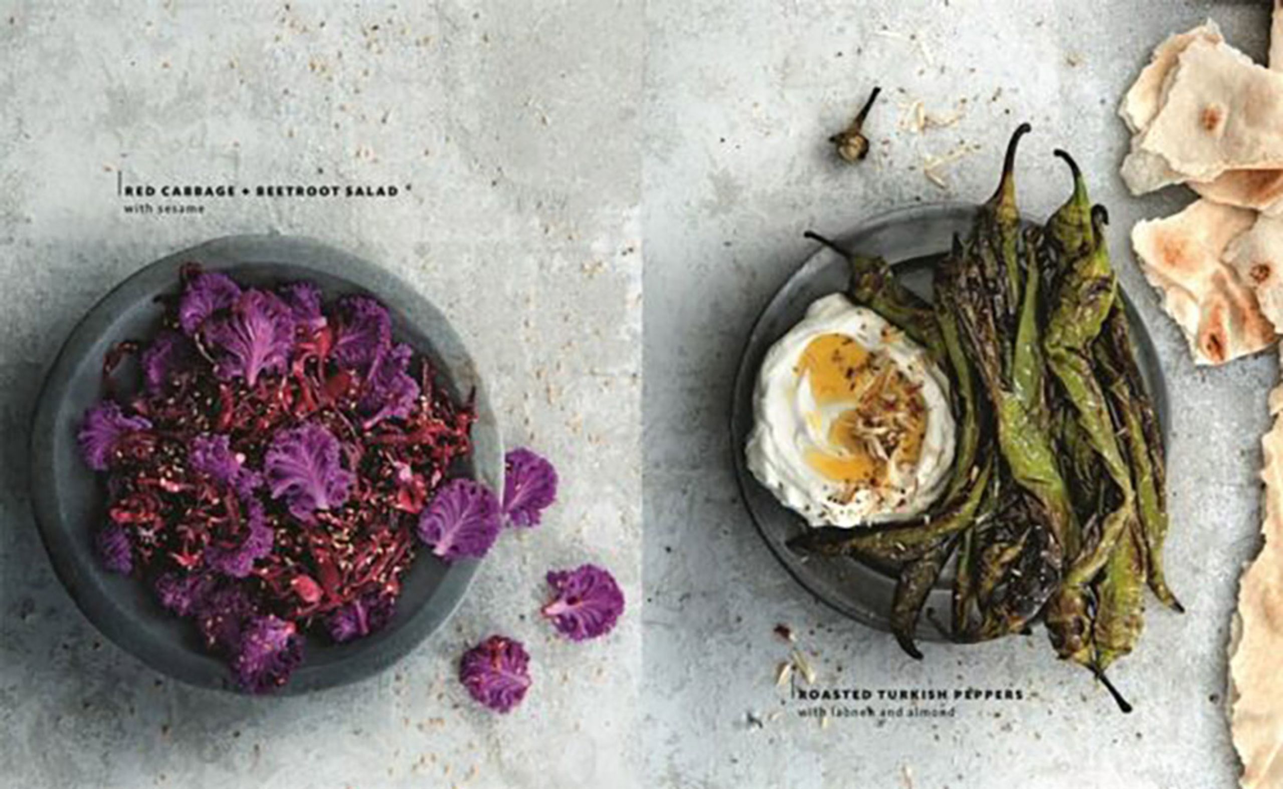 New Mags - Kniha - Salad - Janneke Philippi