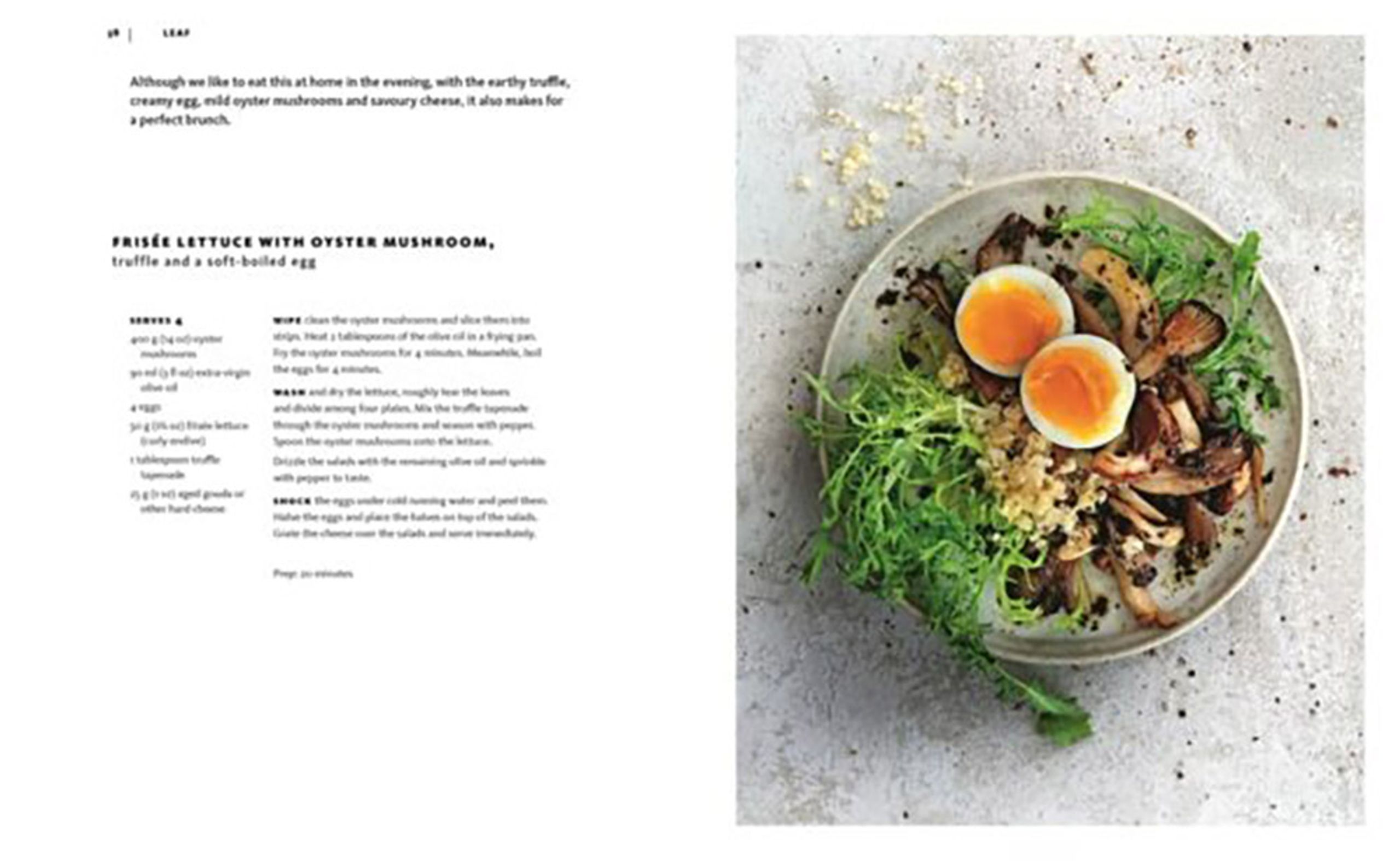 New Mags - Kniha - Salad - Janneke Philippi