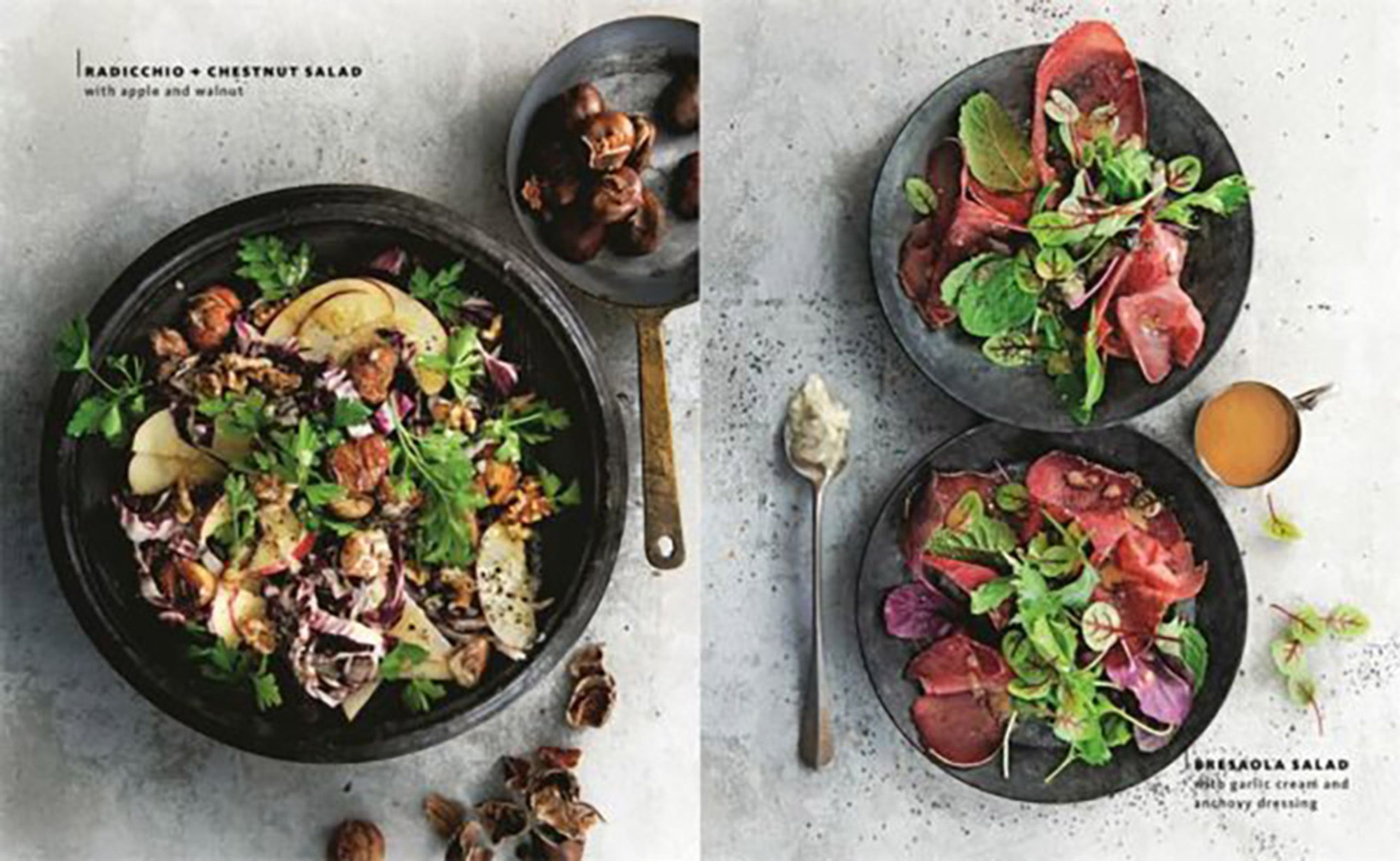 New Mags - Kniha - Salad - Janneke Philippi