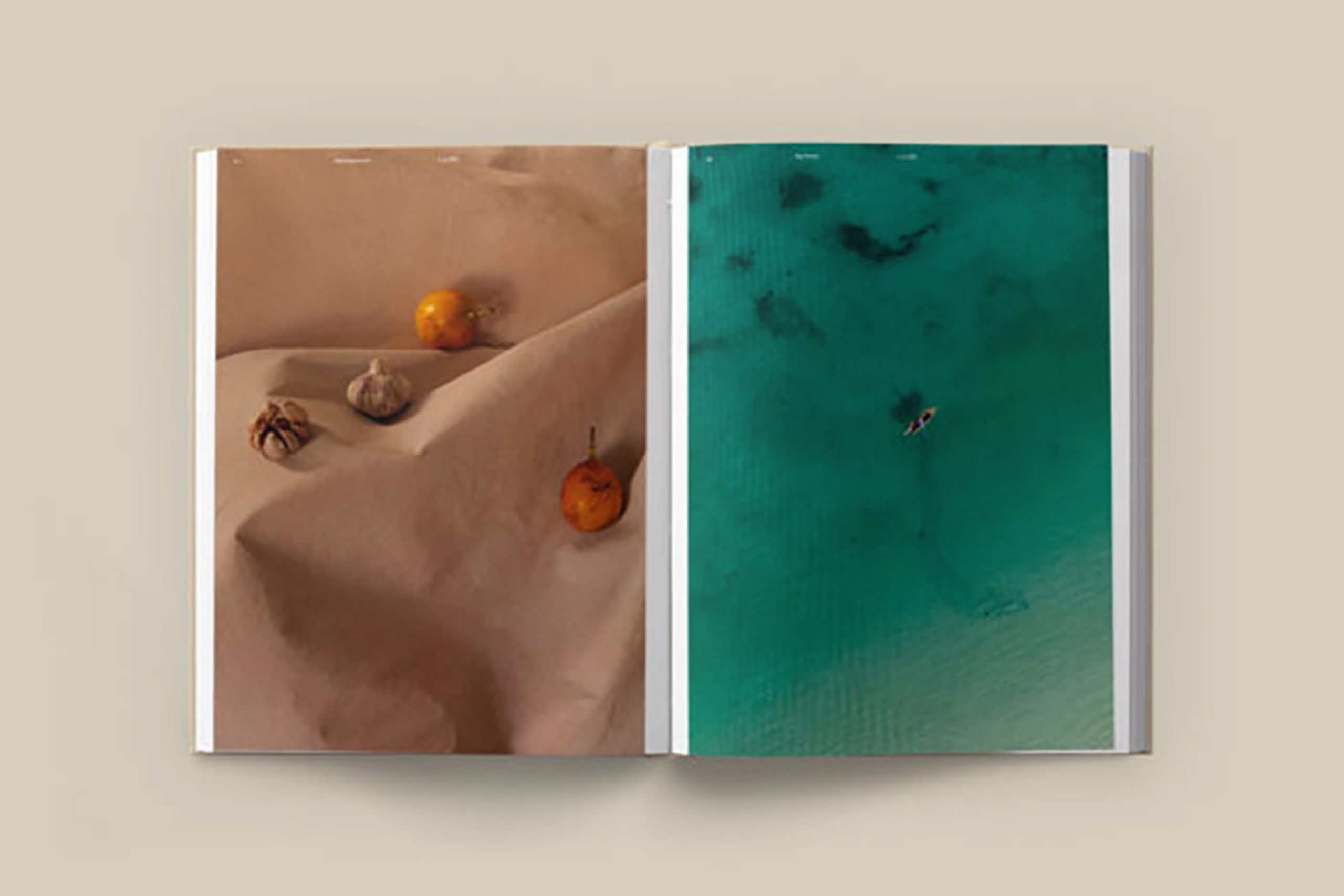 New Mags - Book - The Design Hotels Book - Taste and Place - Design Hotels