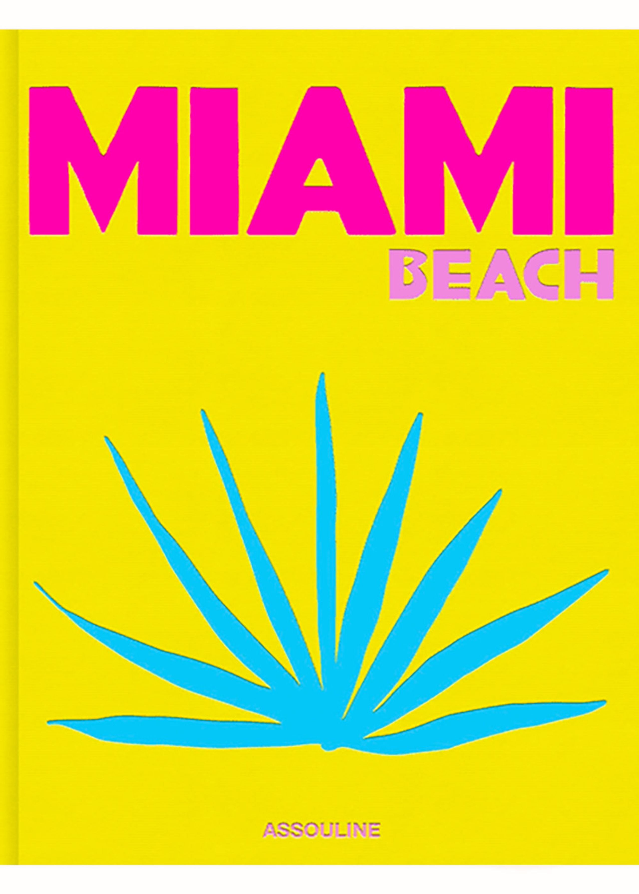 New Mags - Kniha - The Travel Series - Miami Beach