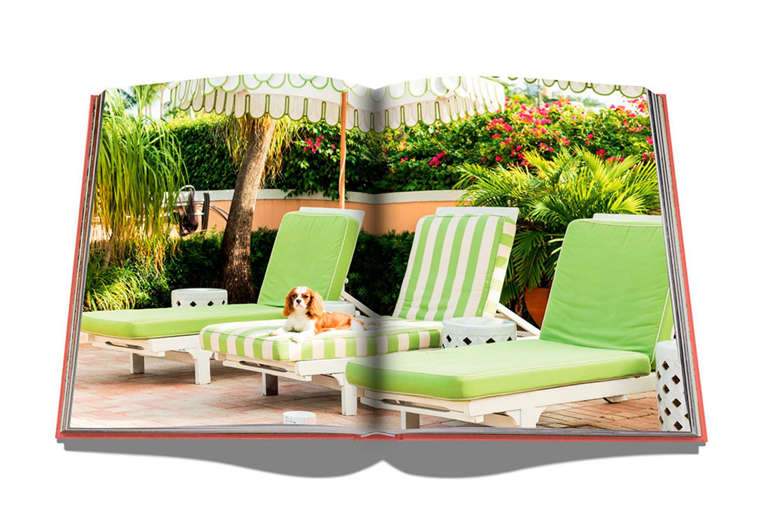 New Mags - Libro - The Travel Series - Palm Beach