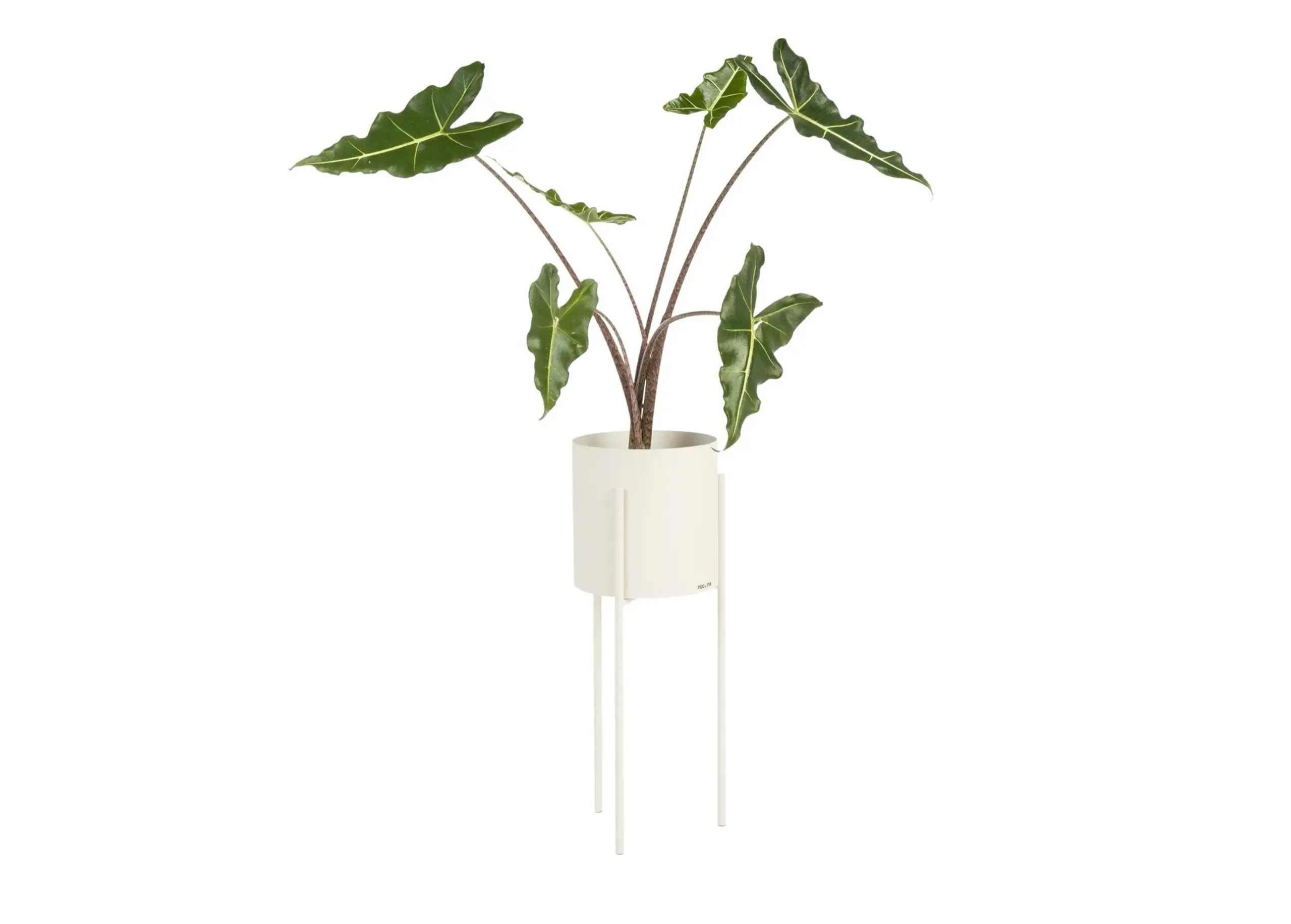 noo.ma - Plant Box - Maki Plant Pot - Tall - Piazza Beige