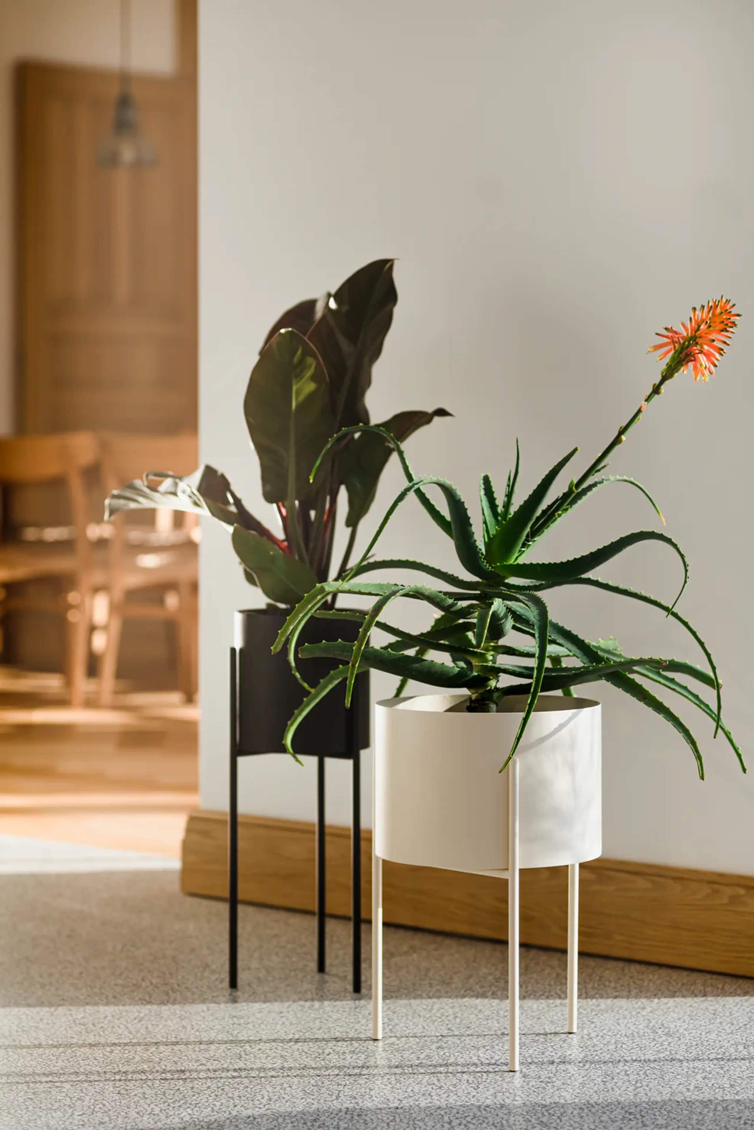 noo.ma - Plant Box - Maki Plant Pot - Tall - Piazza Beige