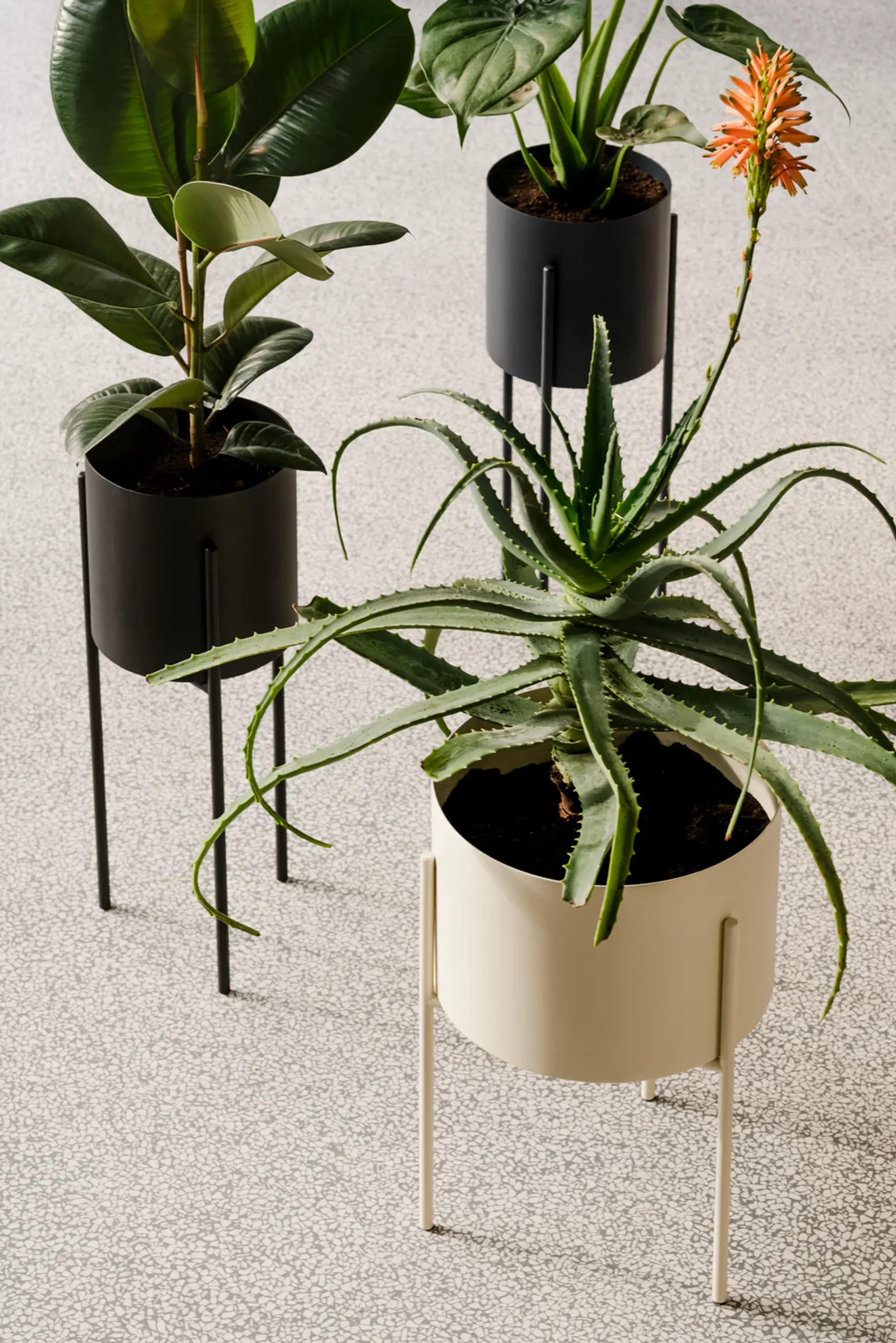 noo.ma - Caja para plantas - Maki Plant Pot - Tall - Vulcano Black