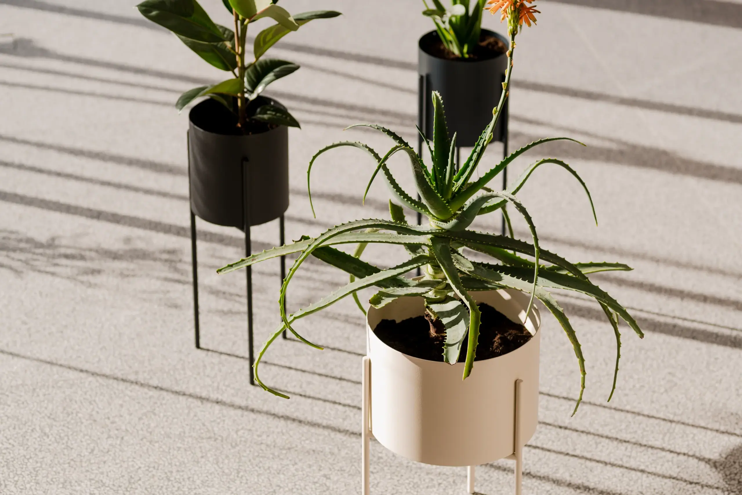 noo.ma - Boîte à plantes - Maki Plant Pot - Wide - Vulcano Black