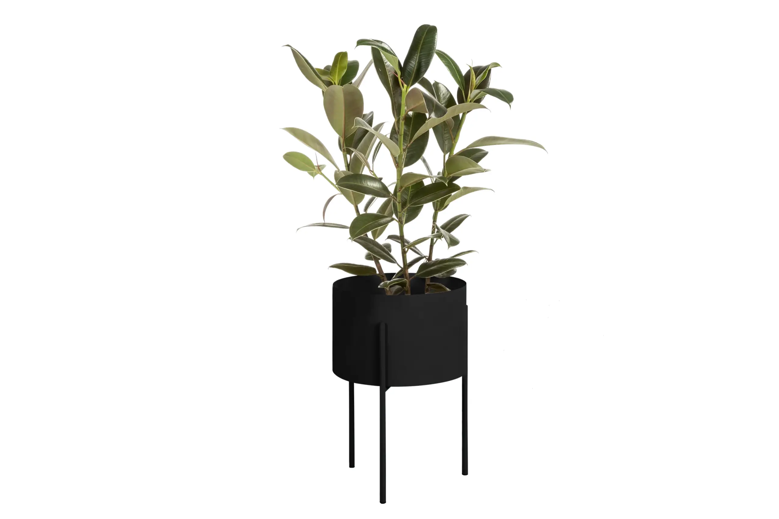 noo.ma - Boîte à plantes - Maki Plant Pot - Wide - Vulcano Black