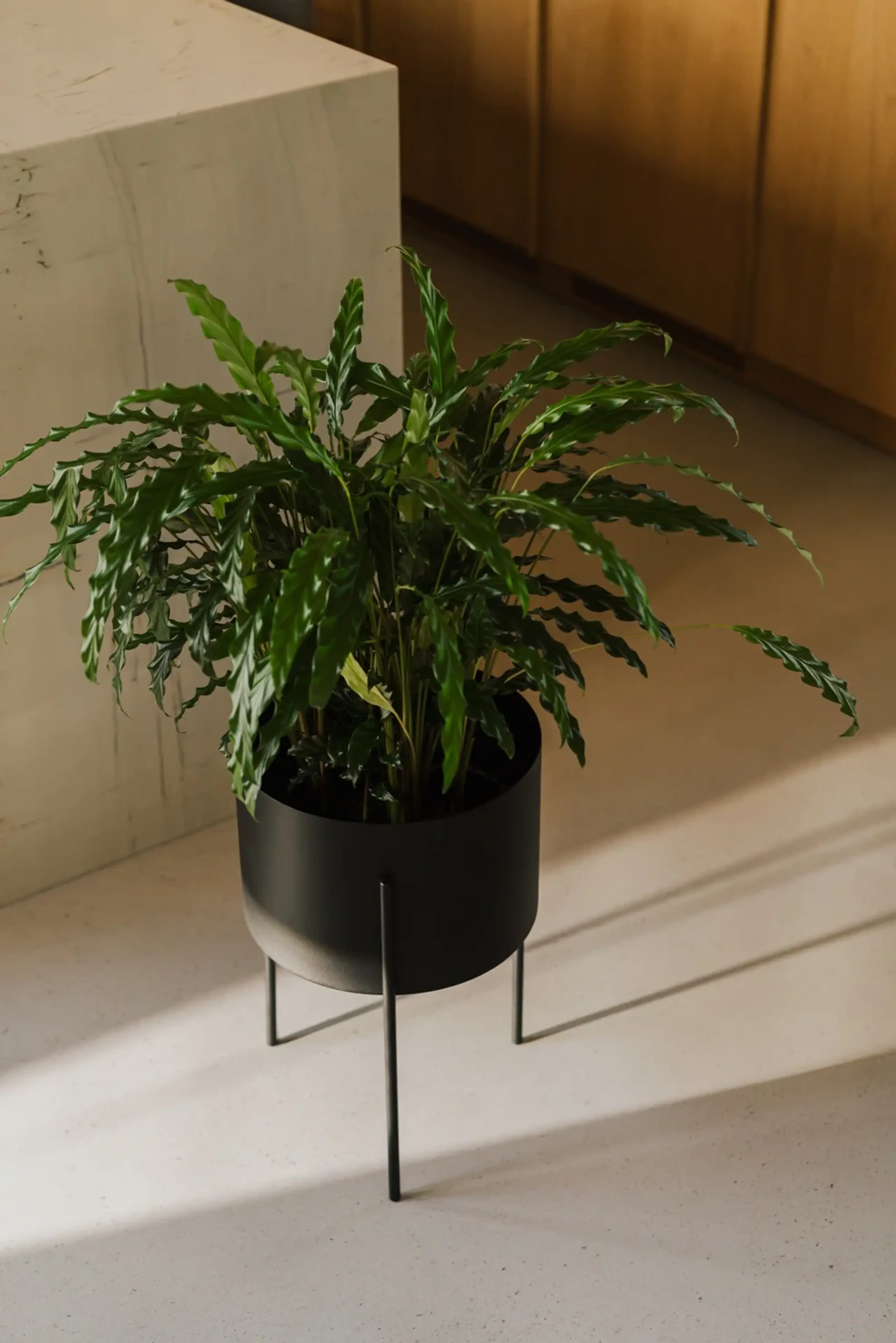 noo.ma - Boîte à plantes - Maki Plant Pot - Wide - Vulcano Black
