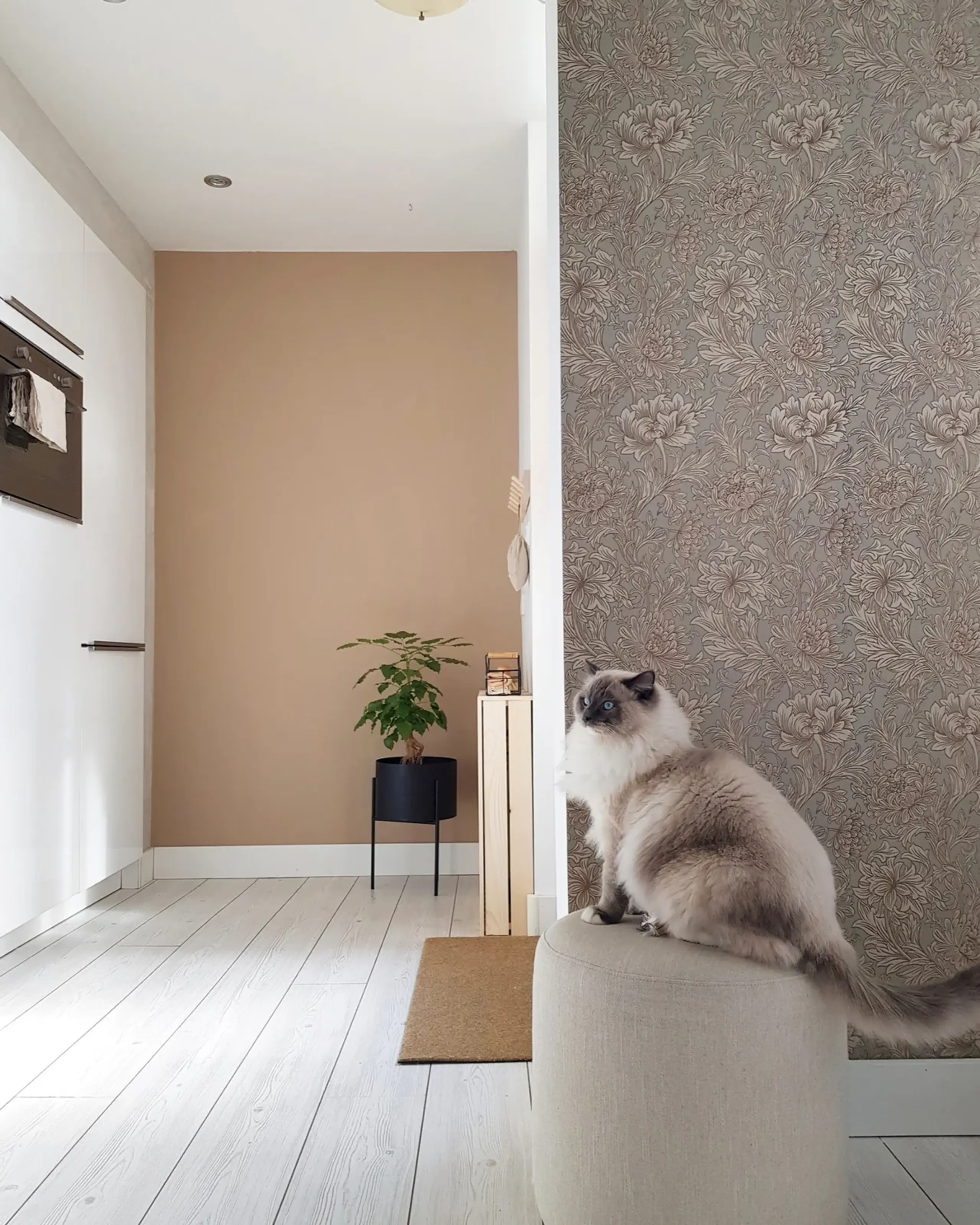 noo.ma - Boîte à plantes - Maki Plant Pot - Wide - Vulcano Black