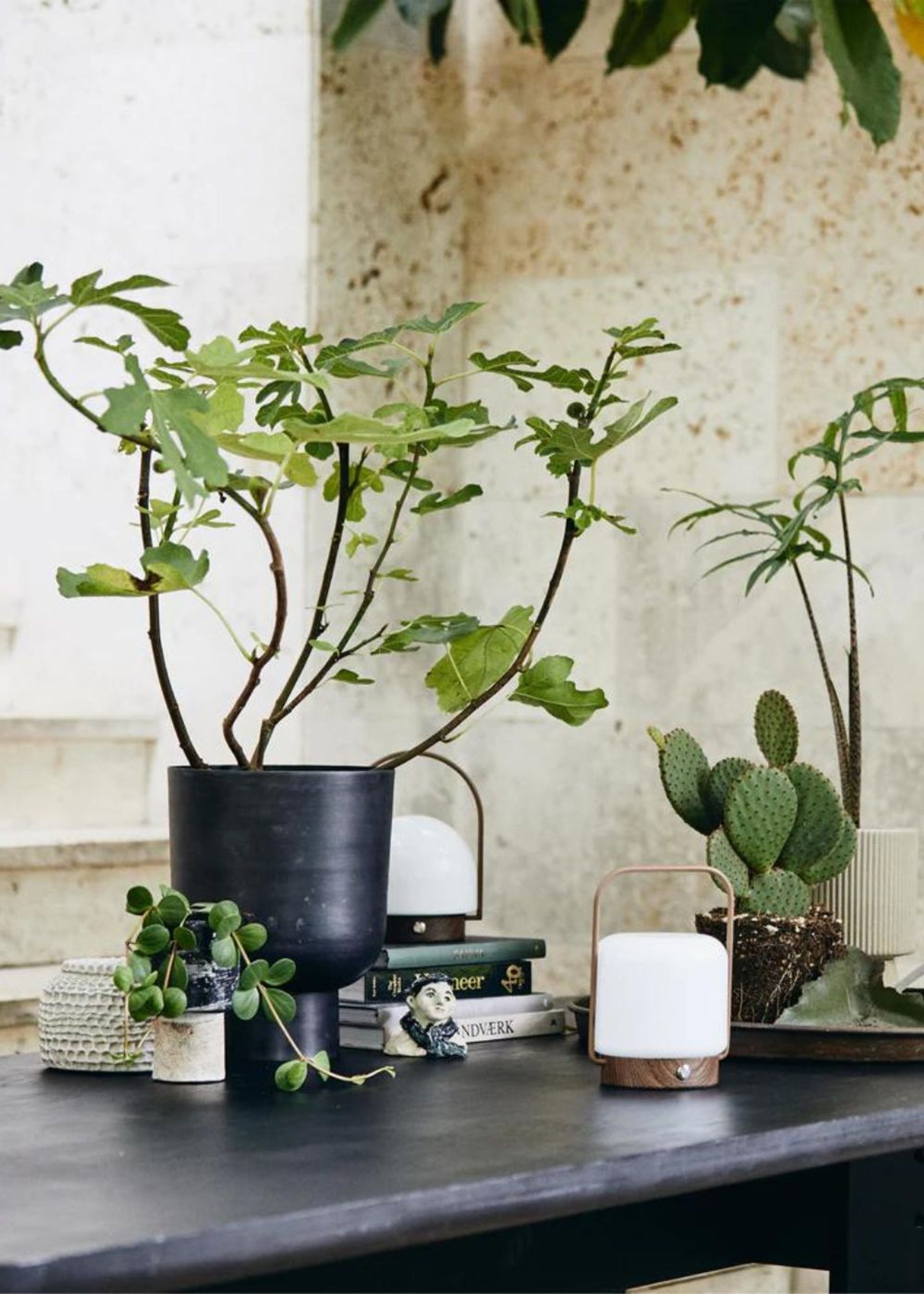 Nordal - - GALOA planter - Aluminium - Small