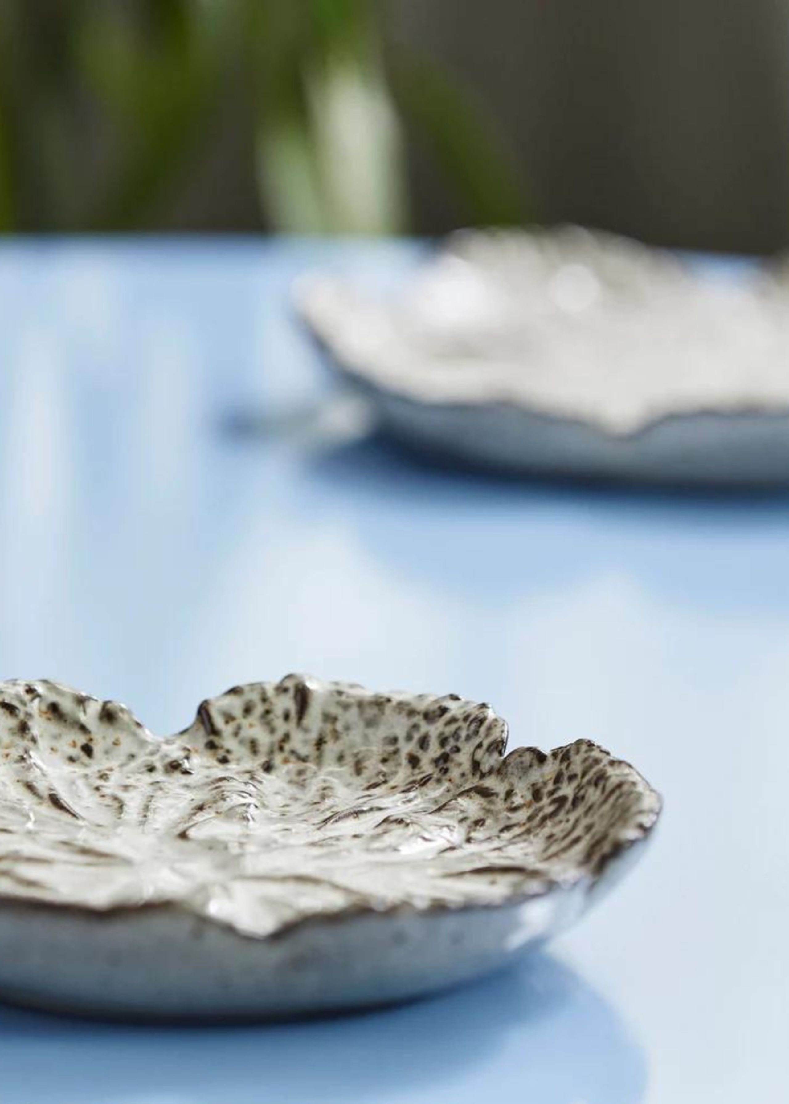 Nordal - Placa - LEAFA Plate - Beige/stone - Medium