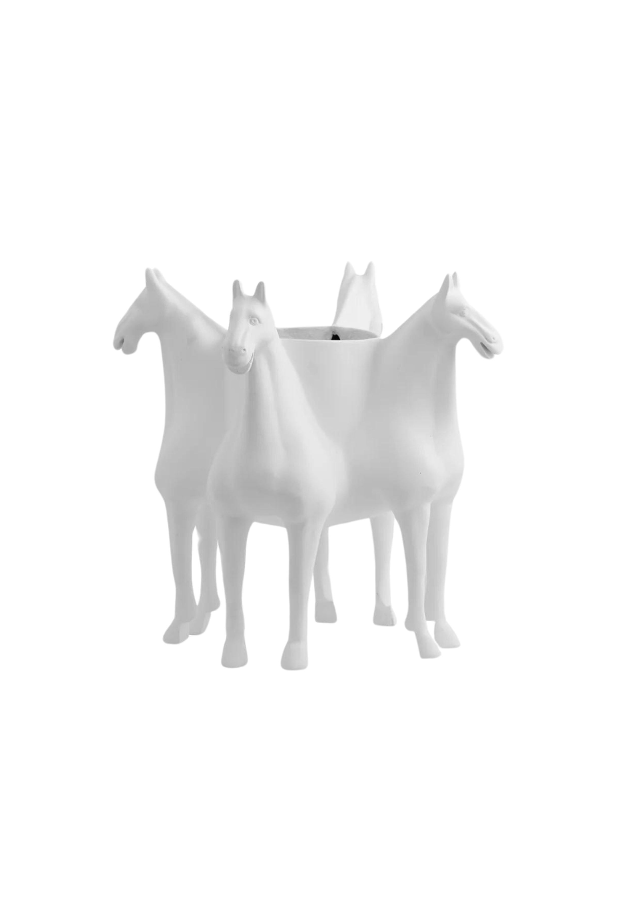 Nordal - Vaas - Roxa - White