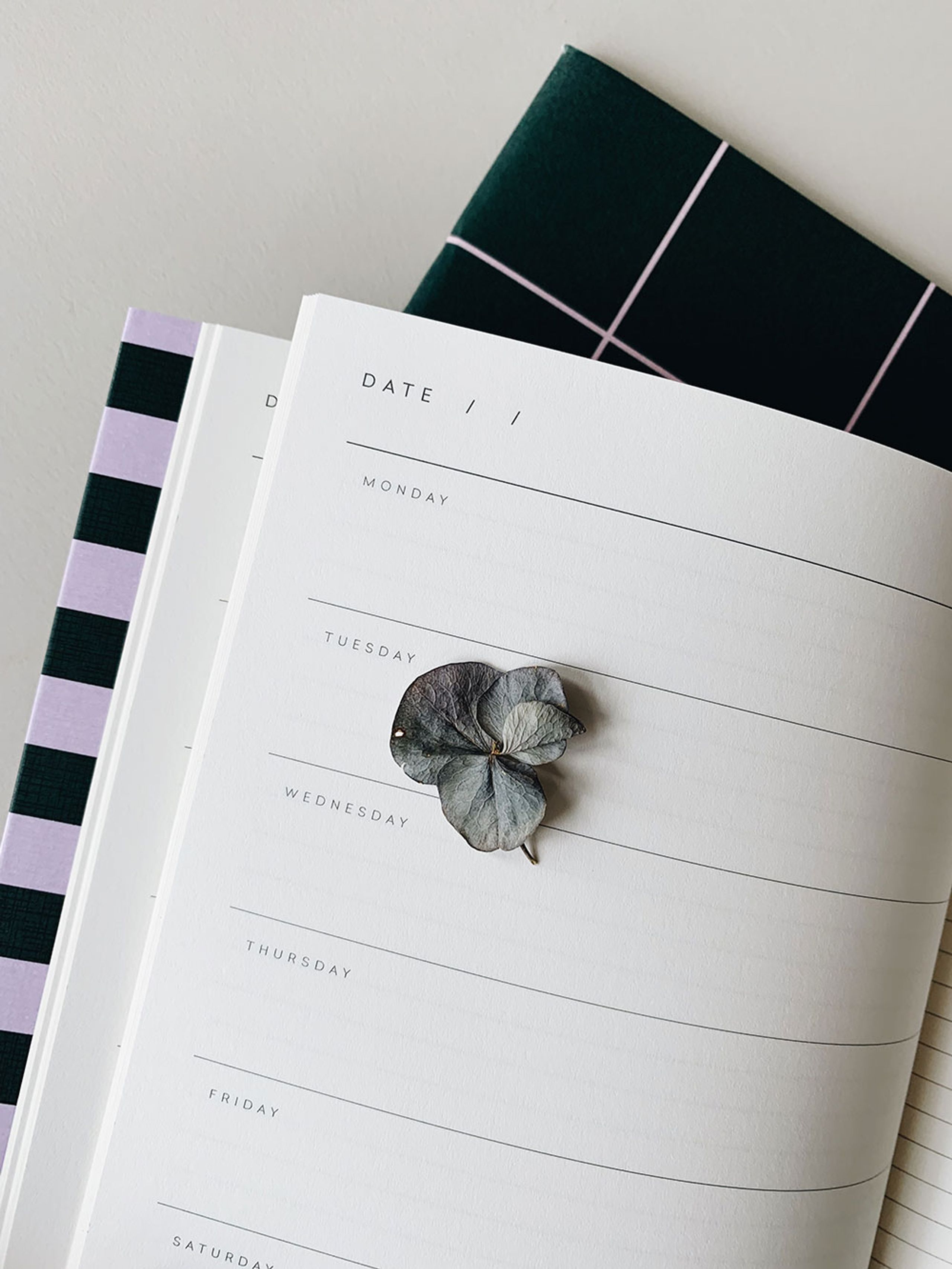 NOTEM - Carnet de notes - UMA - Weekly Planner - Green And Rose
