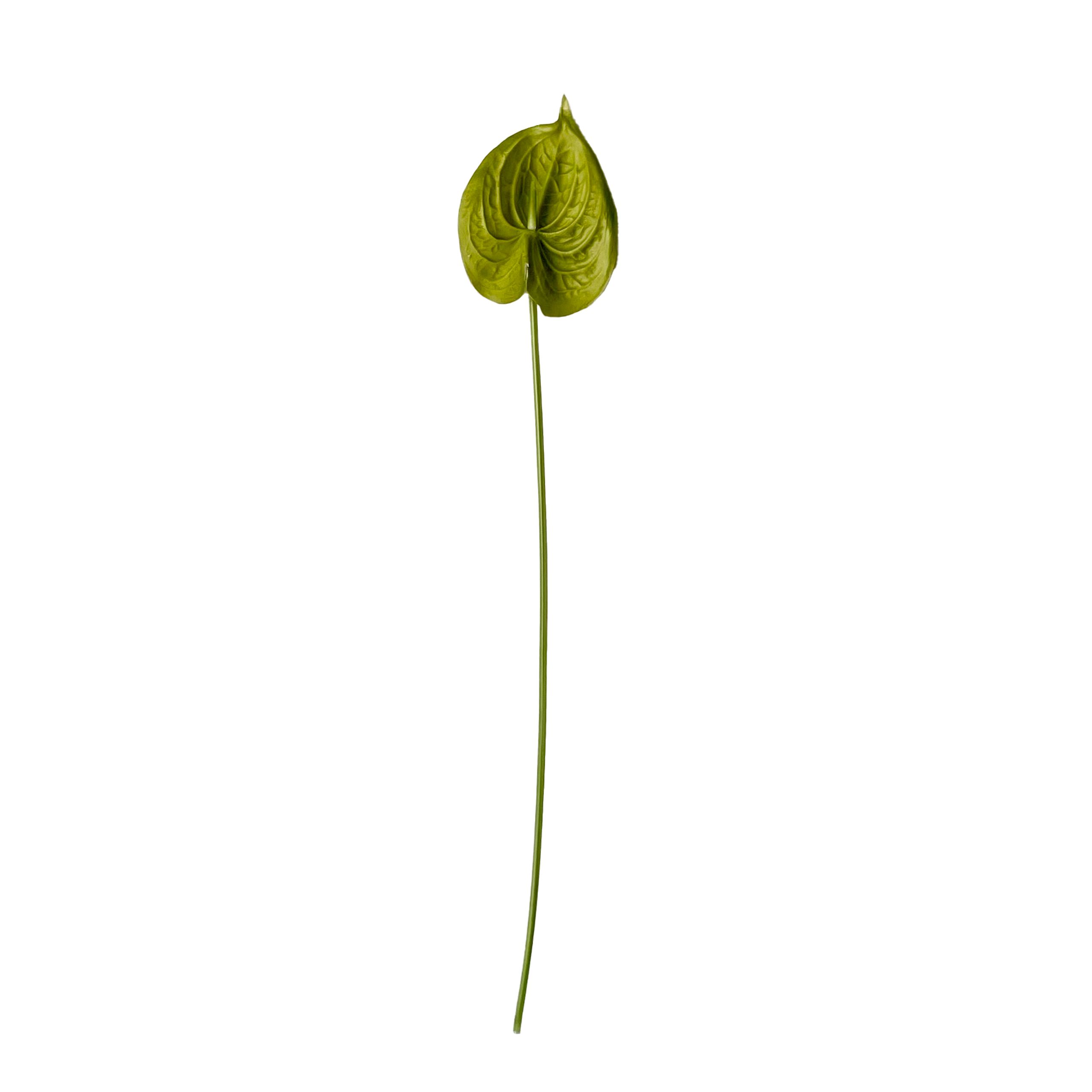 Okholm Studio - Fleurs artificielles - Stems - Anthurium - Green