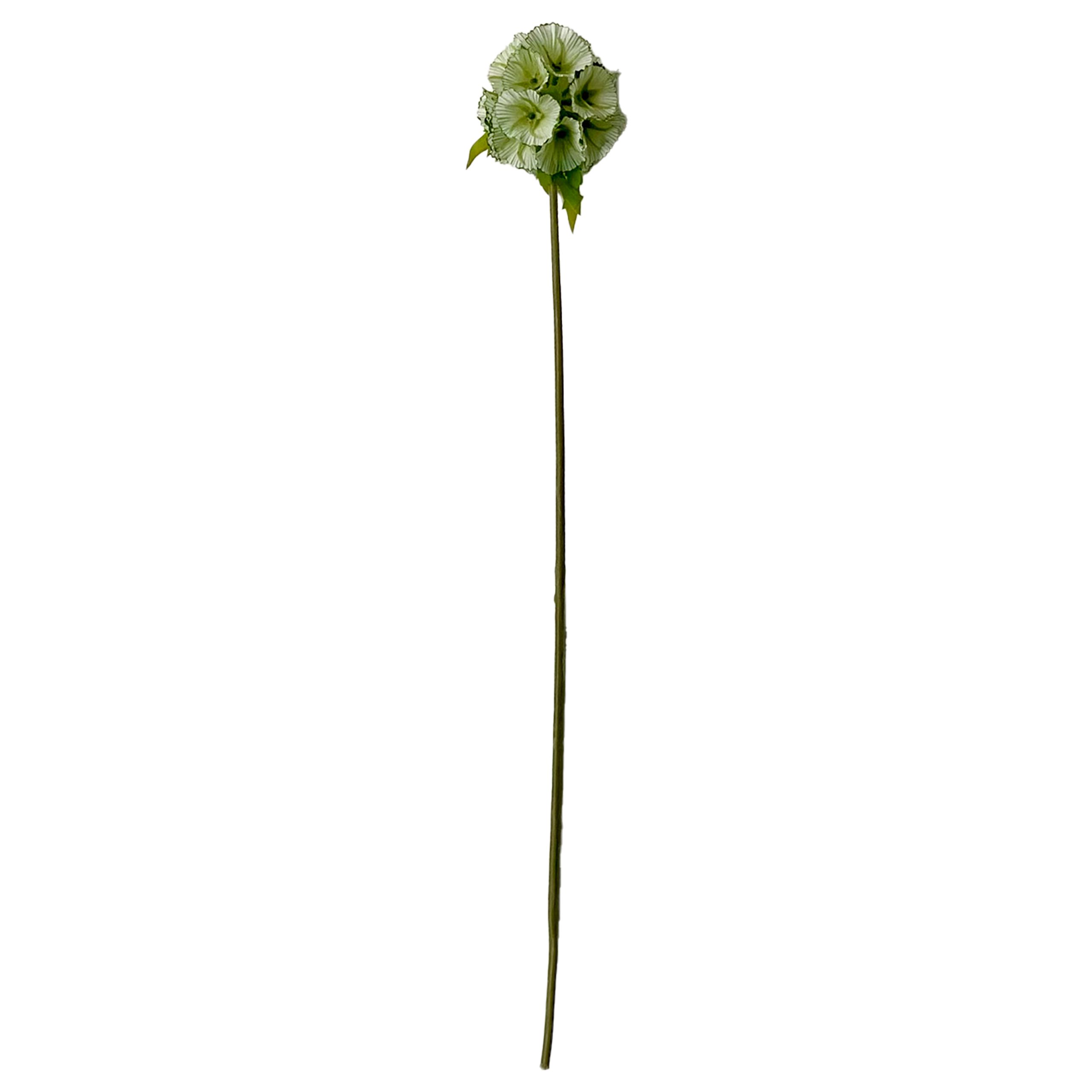 Okholm Studio - Artificial flowers - Stems - Scabiosa - White