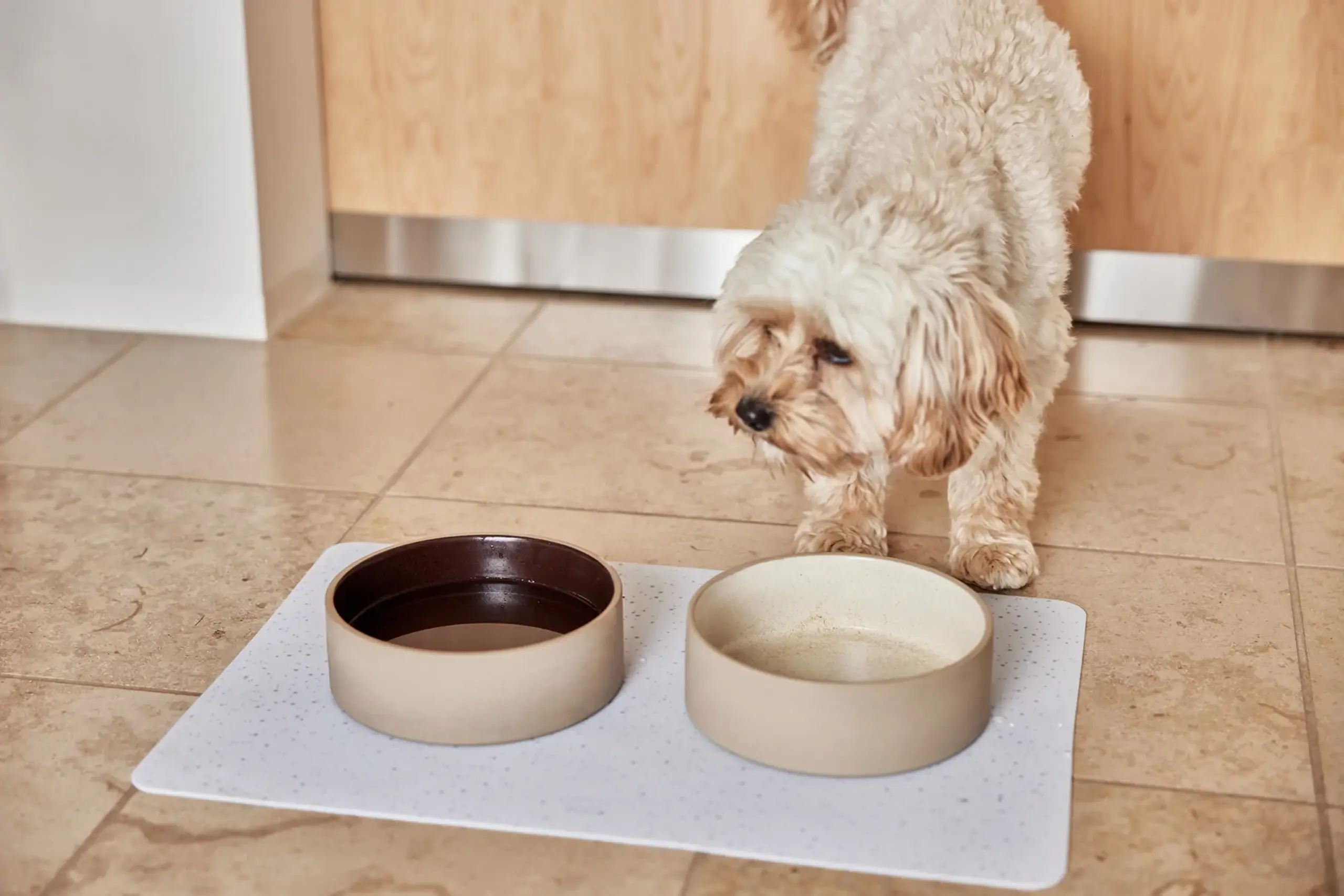 OYOY ZOO - Dog bowls - Sia Dog Bowl - Small - 610 Ice Blue