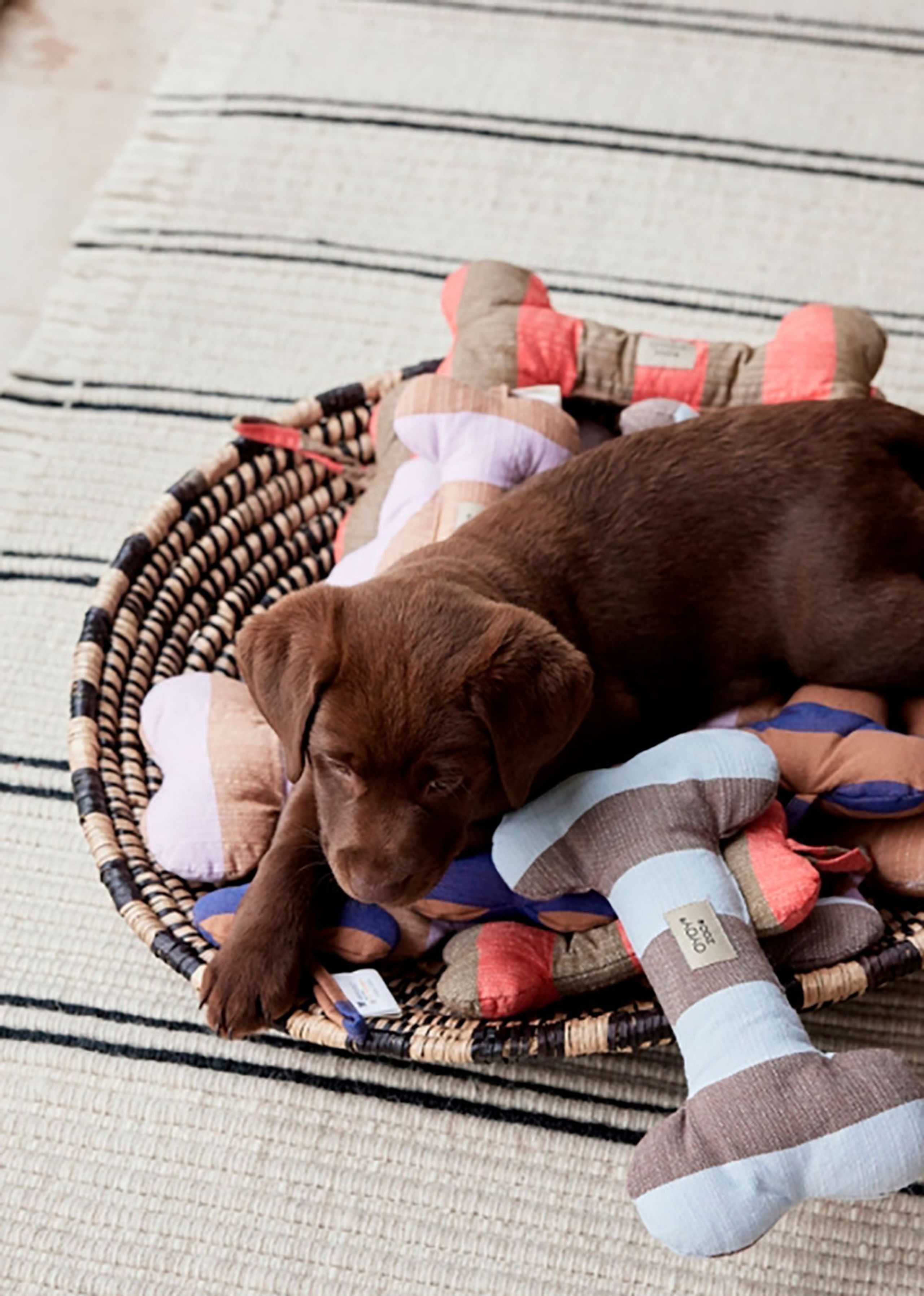 OYOY - Dog toys - Ashi Dog Toy - 610 Ice Blue / Choko