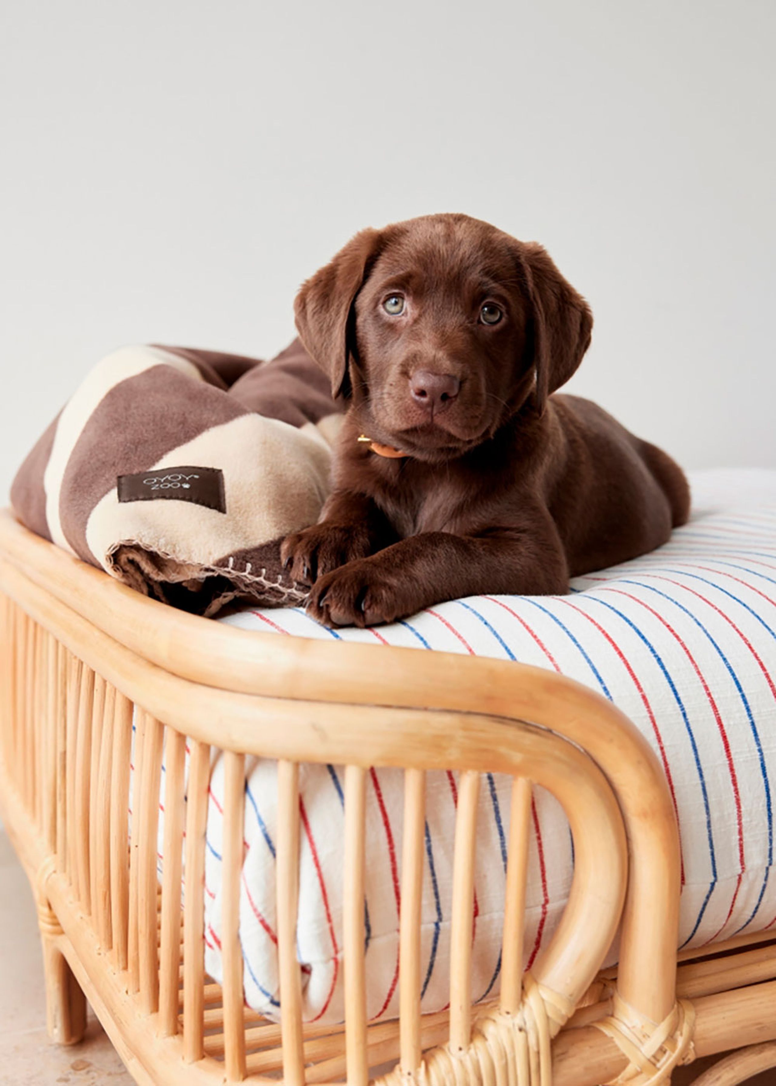 OYOY - Letto per cani - Otto Dog Bed - Large