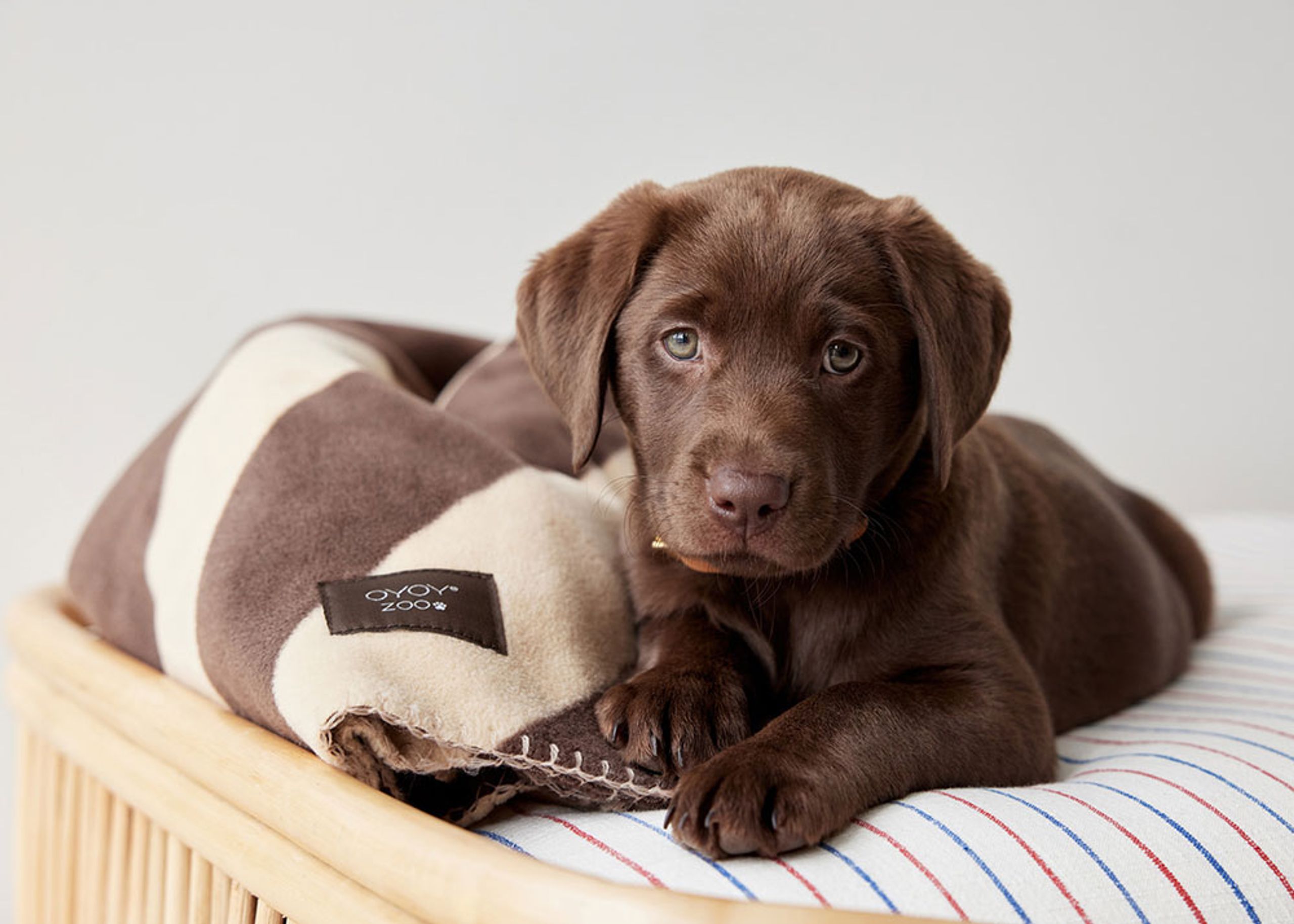 OYOY - Dog blanket - Kaya Dog Blanket - 309 Choko