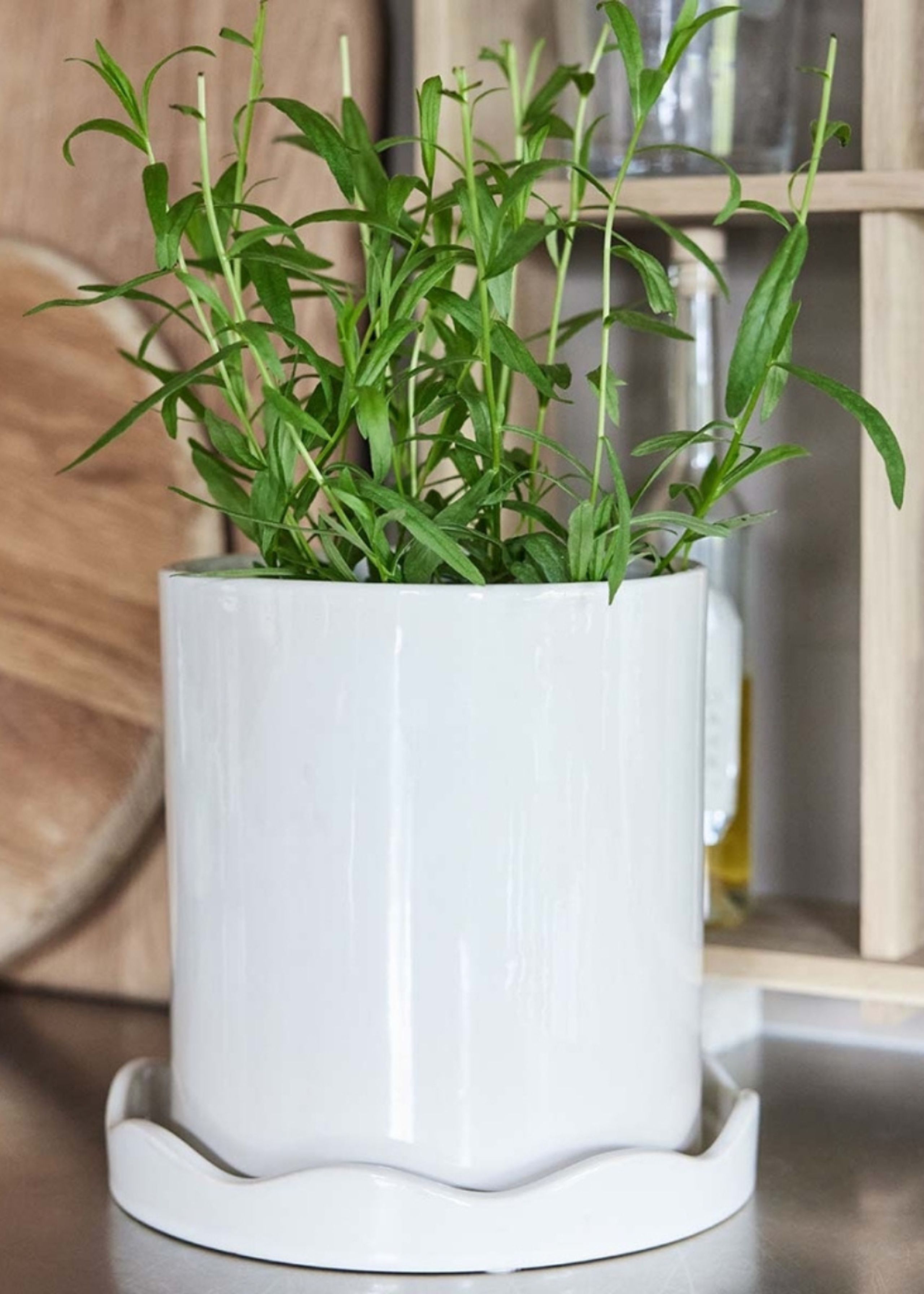 OYOY LIVING - Flowerpot - Nami Pot With Saucer - 101 White