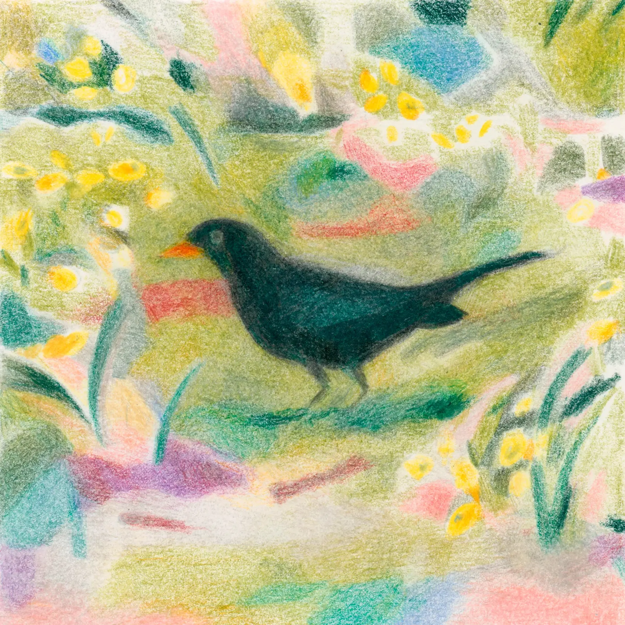 Paper Collective - Plakat - Un Merle - multi