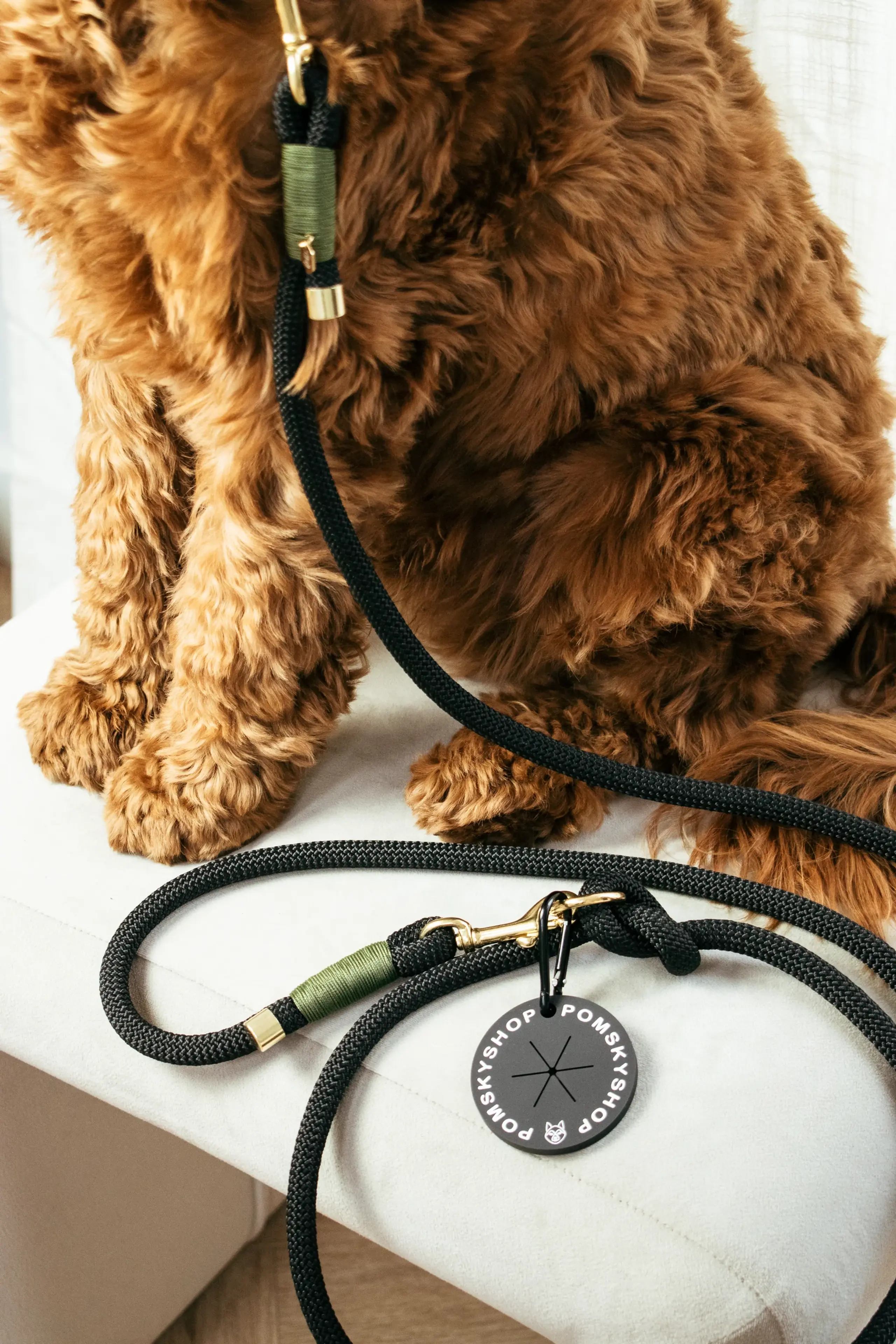 Pomskyshop - Dog collars - Classy Black - Rope - Gold