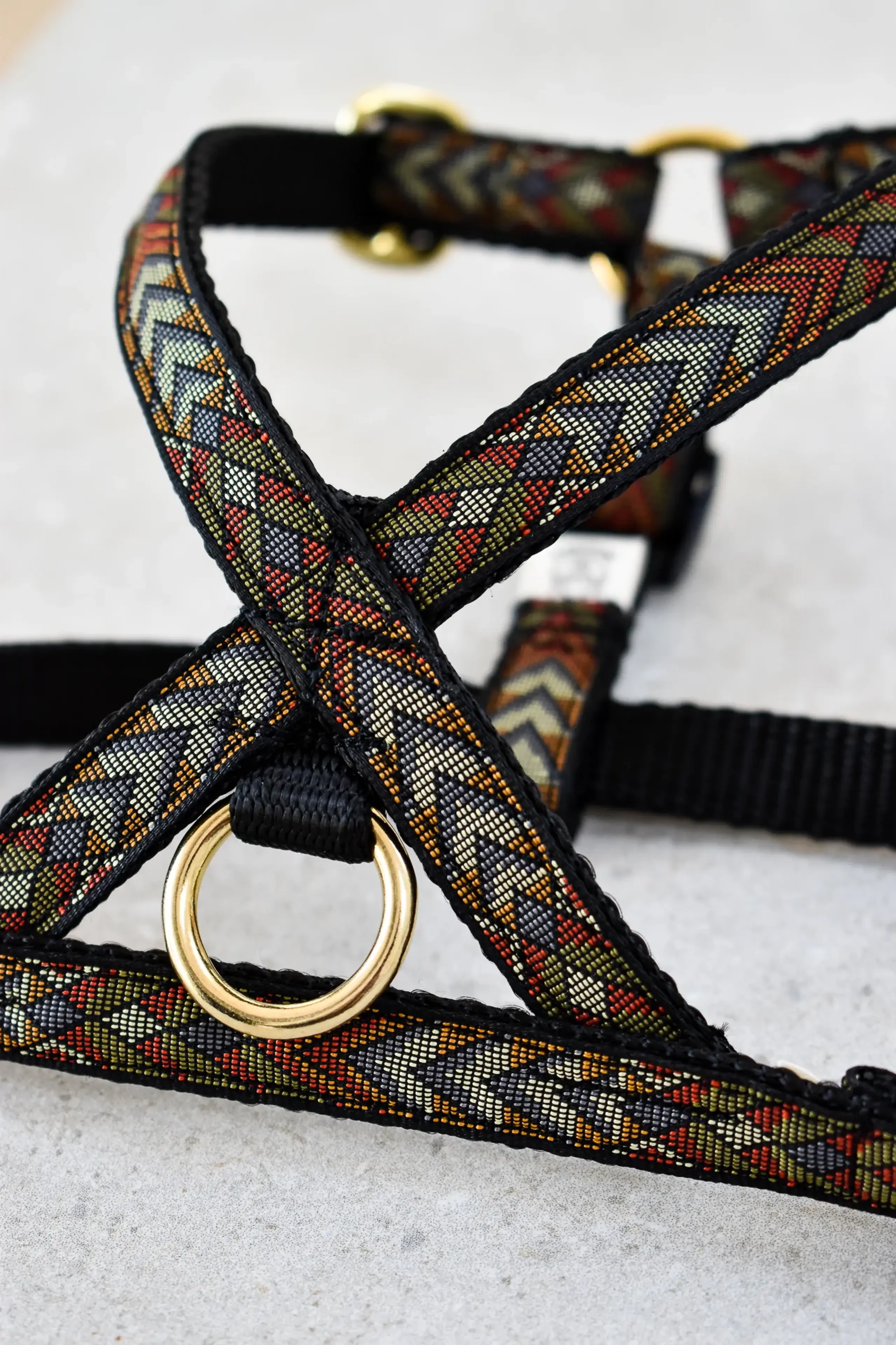 Pomskyshop - Hundehalsbånd - Woody V3 - Sele - Guld