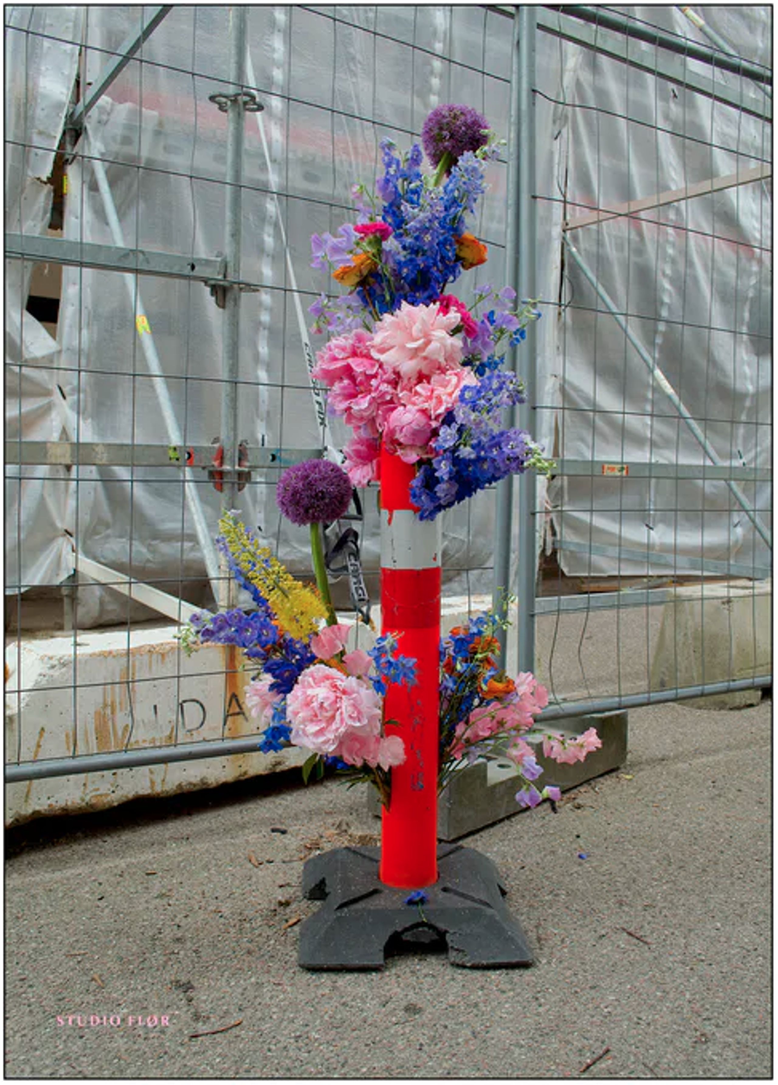 Poster and Frame - Poster - Popping Out - Popping Out