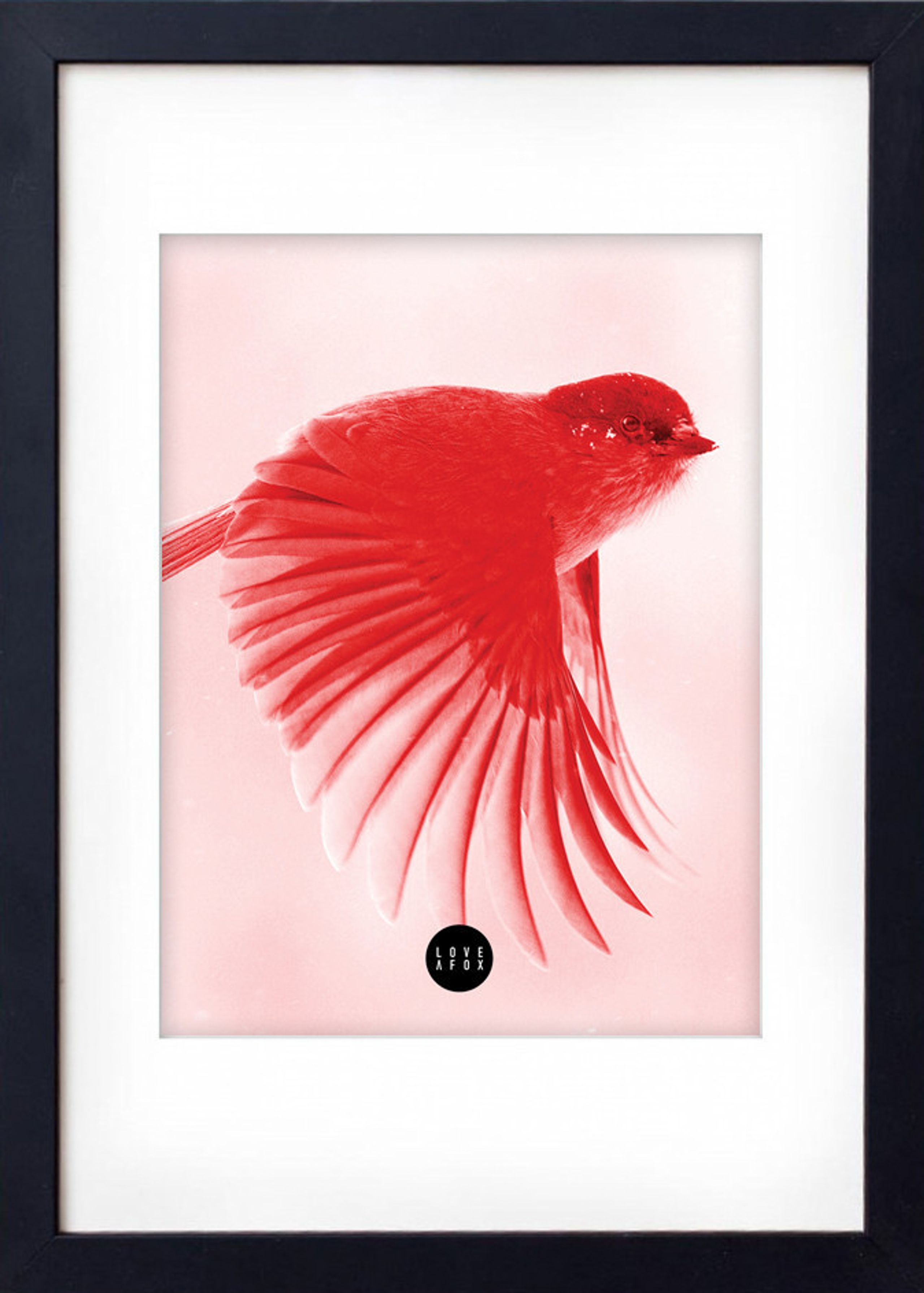 - Poster - Red Birdie - Rød