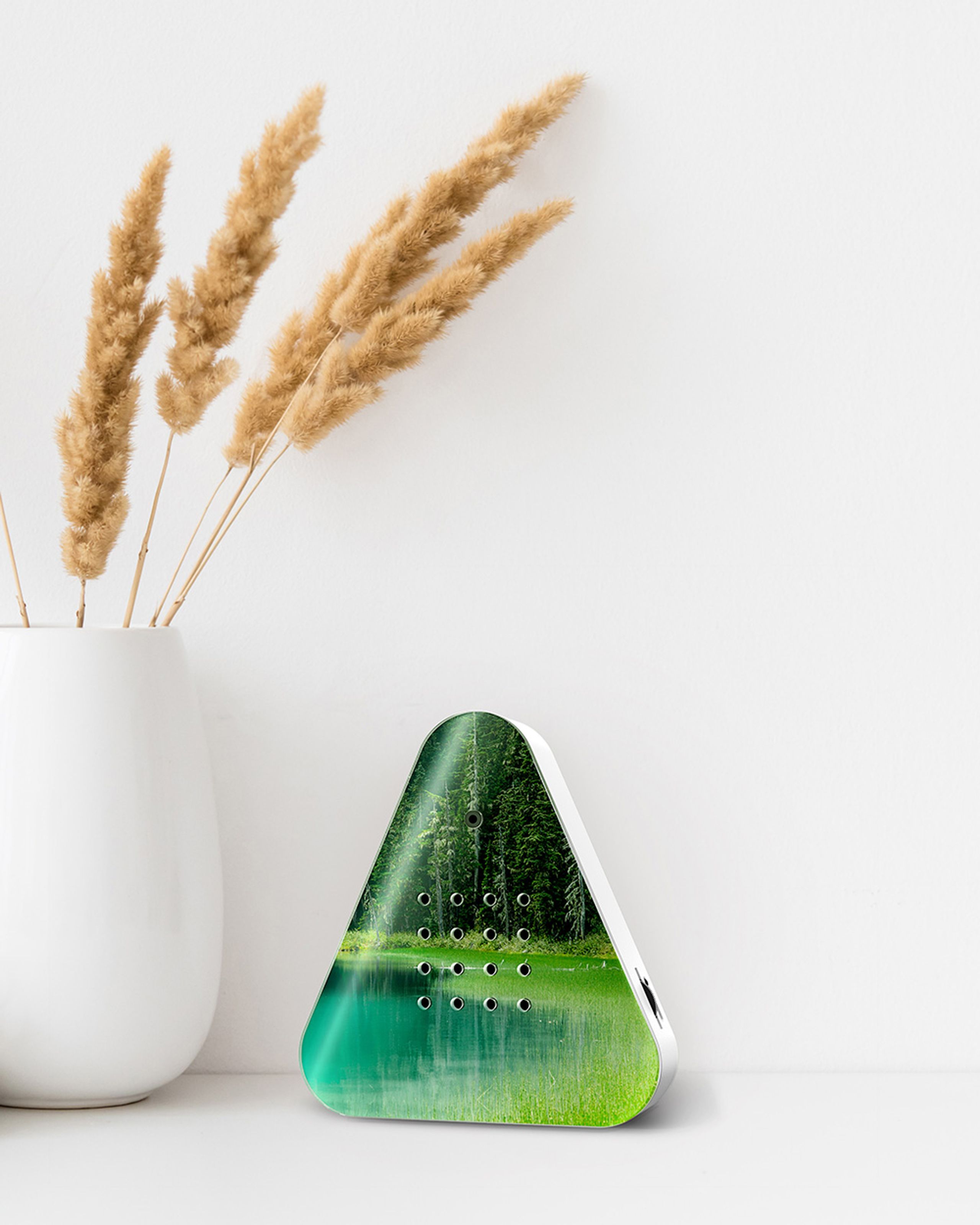 Relaxound - Soundbox - Lakesidebox - Forest Lake