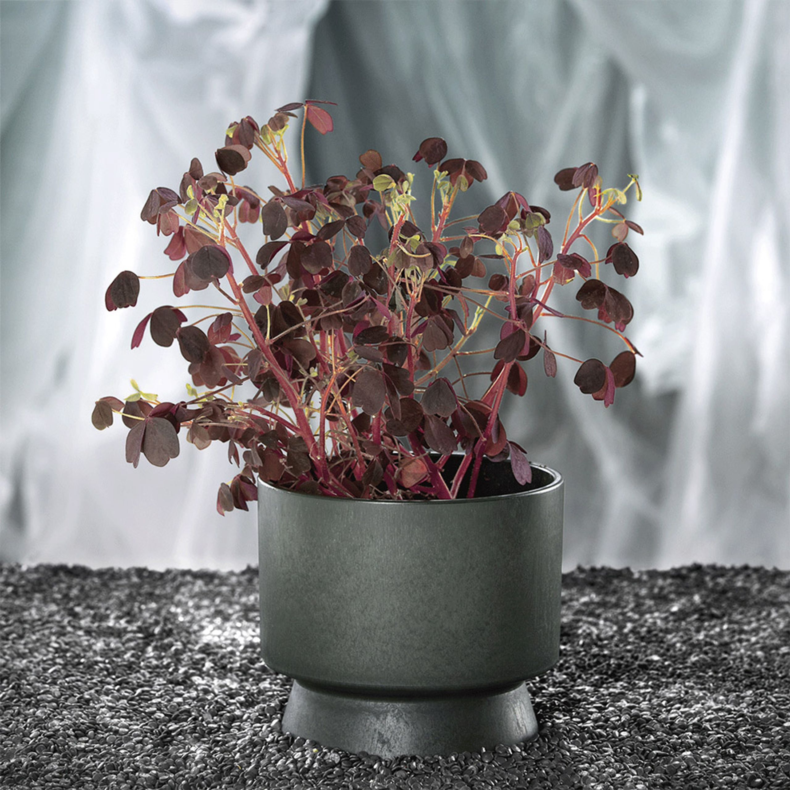 Rosendahl - Blumentopf - Rosendahl Flower Pot - Ø19 - Mørk Grøn