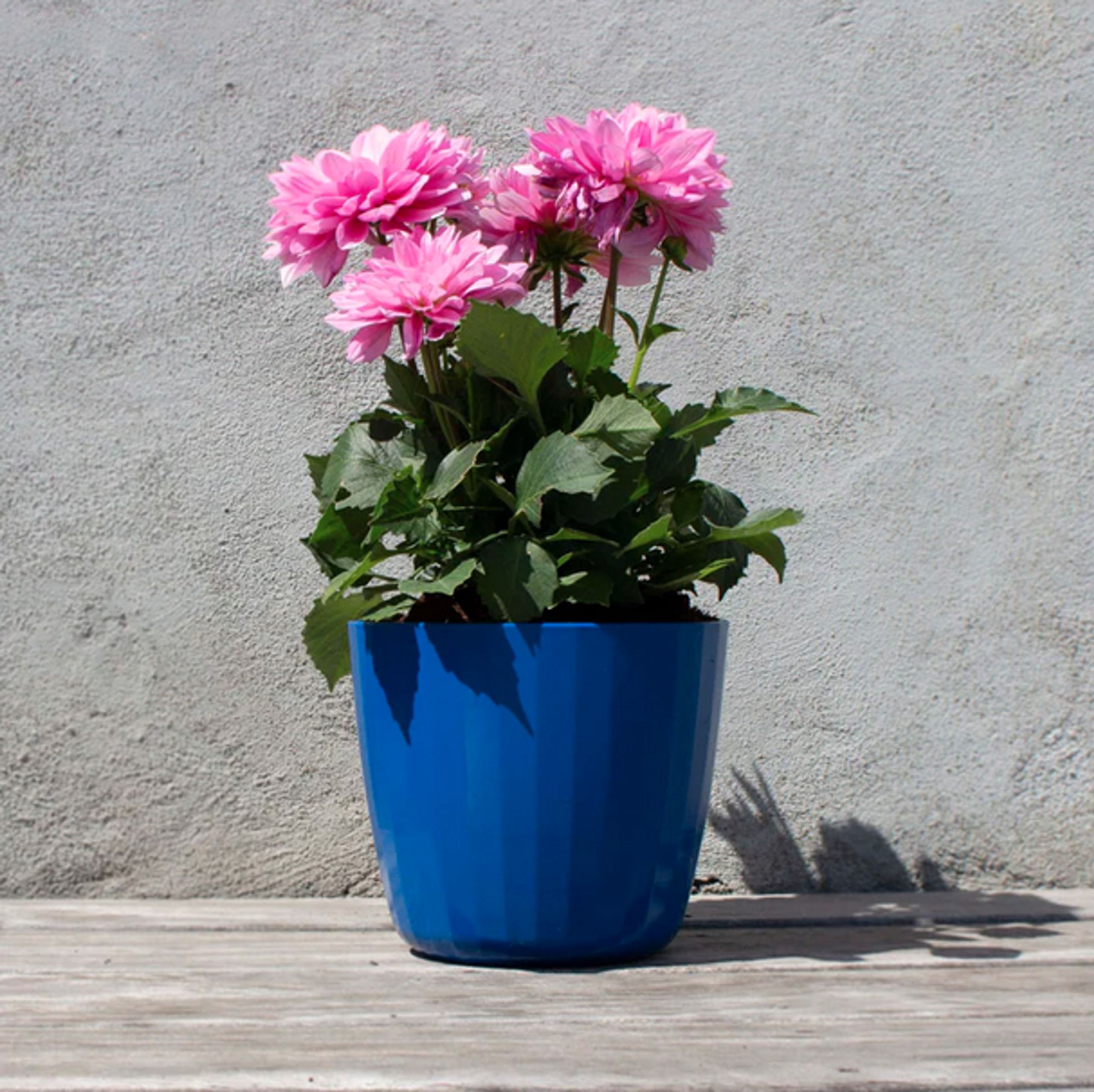 SMALLrevolution - Jar - Berta Flowerpot - Glacier