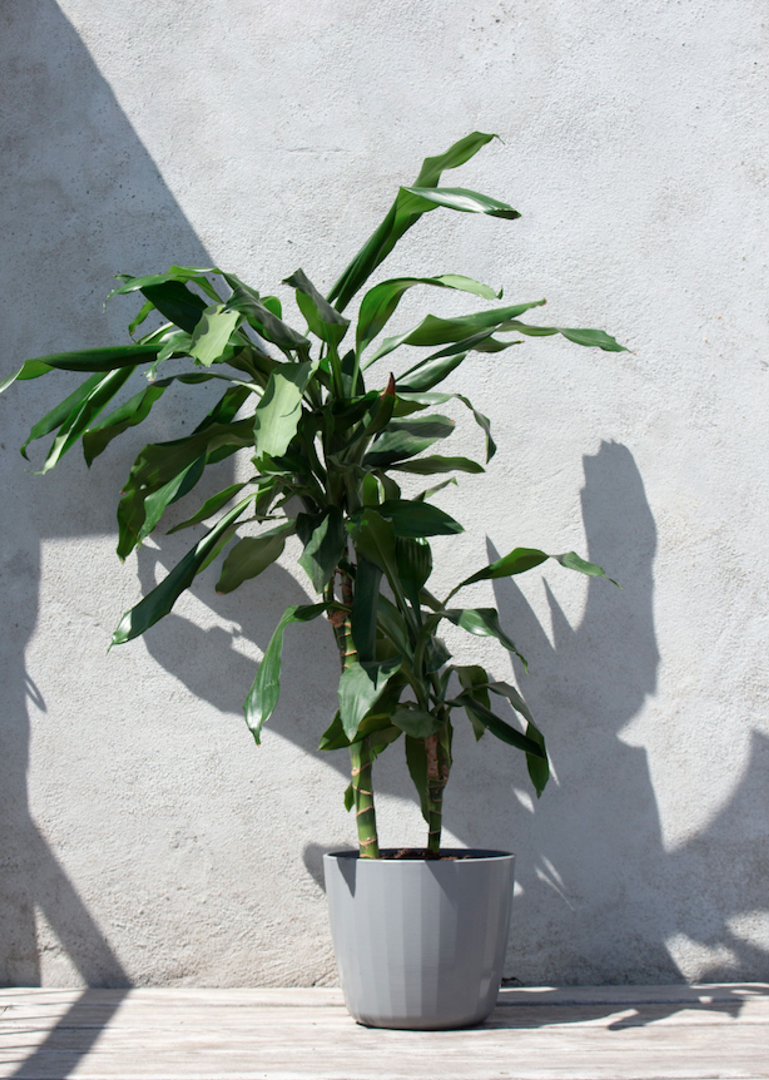 SMALLrevolution - Jar - Berta Flowerpot - Grey