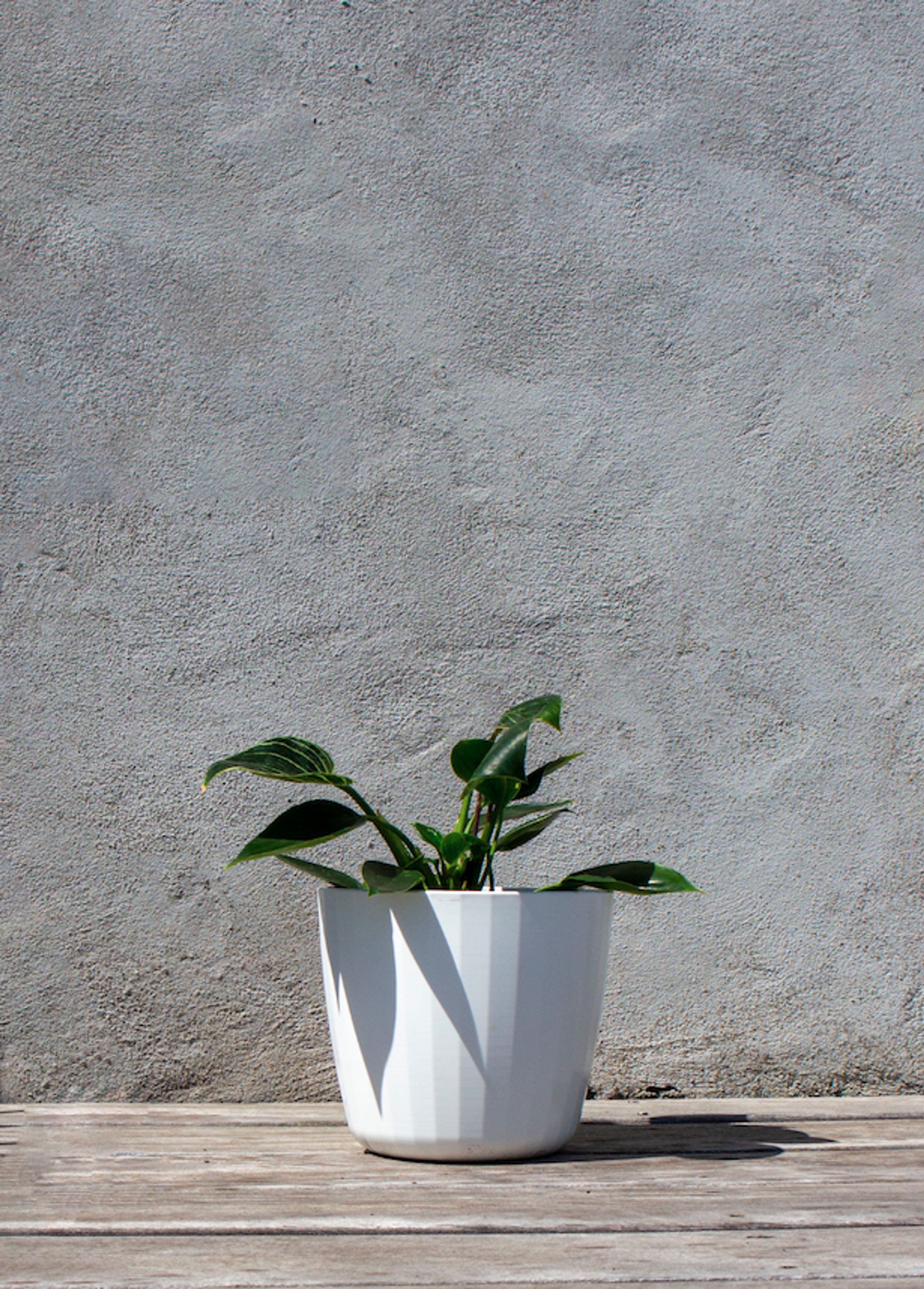 SMALLrevolution - Behälter - Berta Flowerpot - White