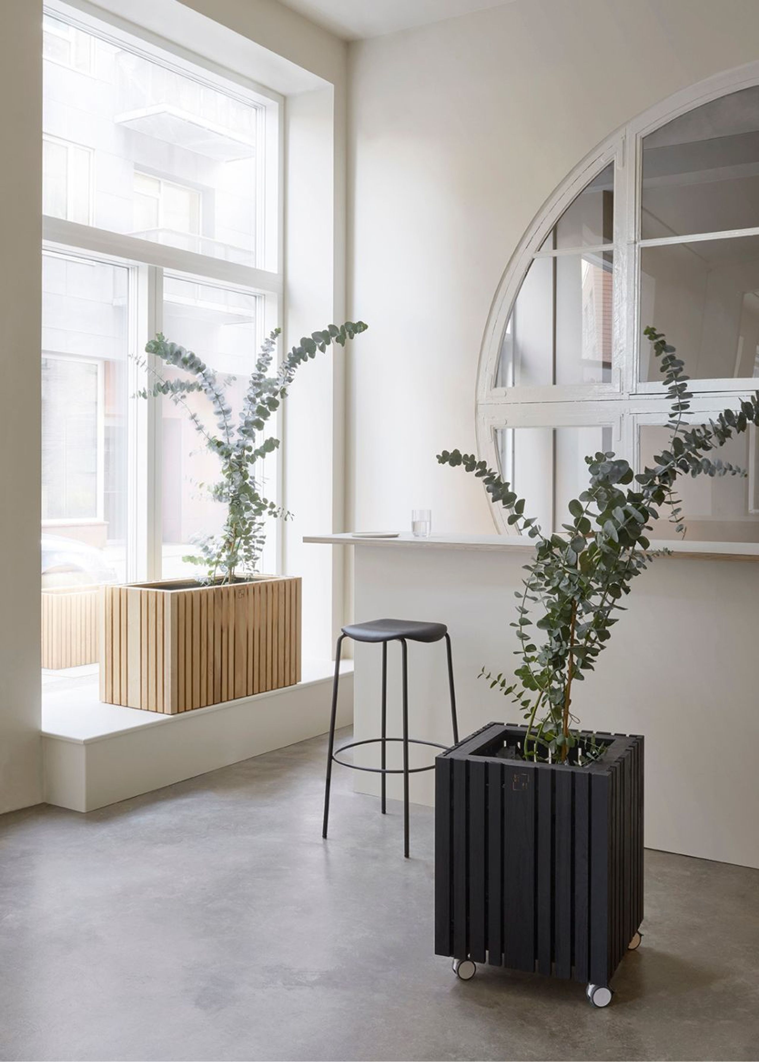 SQUARELY CPH - Plant Box - GrowLARGE - Natural Ash