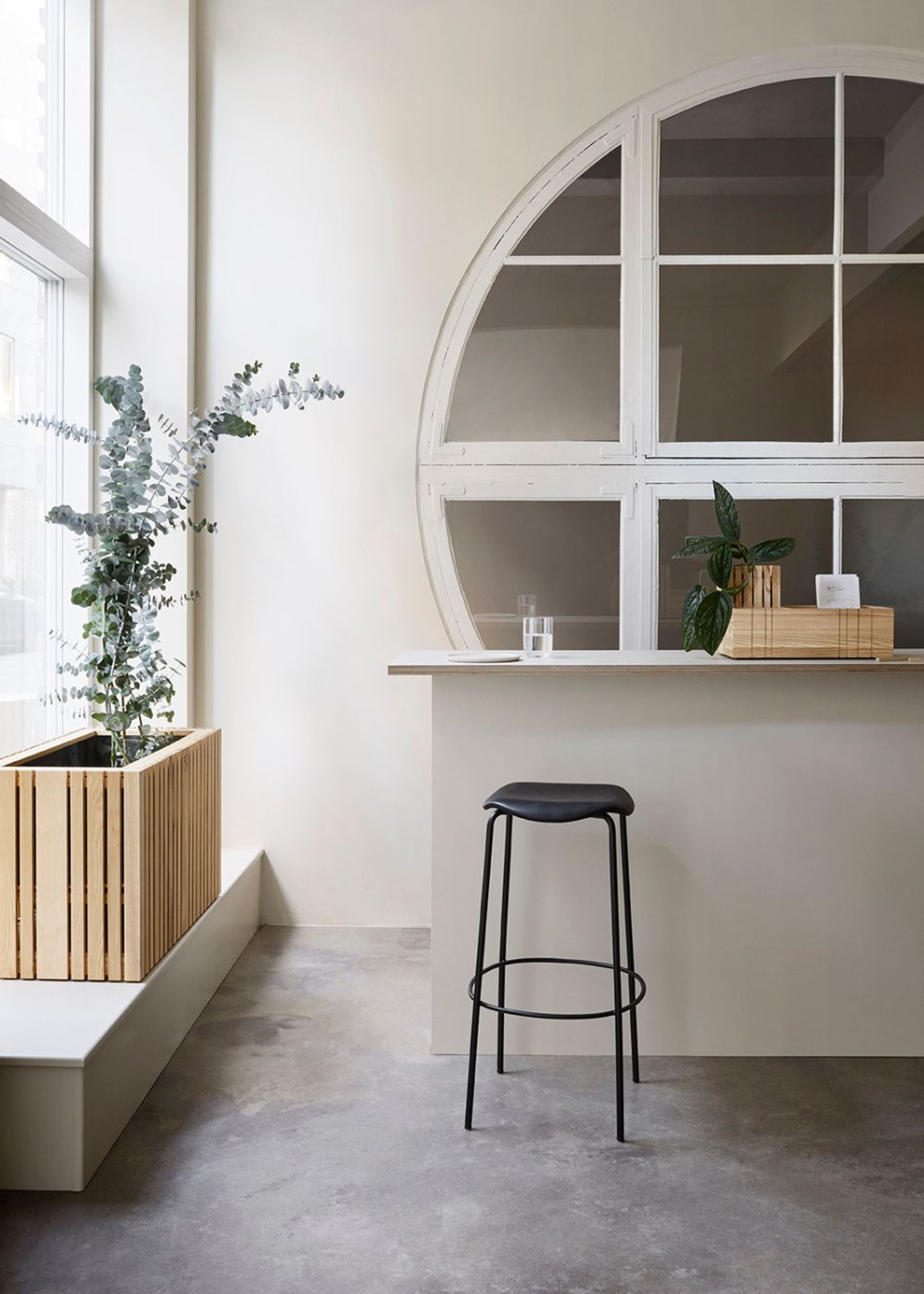 SQUARELY CPH - Plant Box - GrowLARGE - Natural Ash